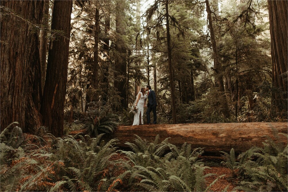 red-wood-california-elopement-wedding_0028.jpg