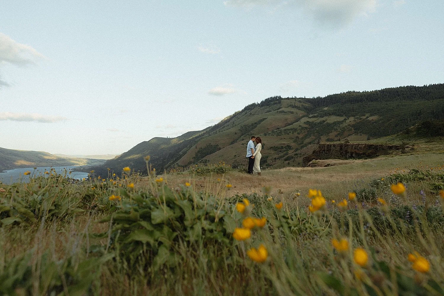 rowena-crest-engagement-session-sunset_0001.jpg