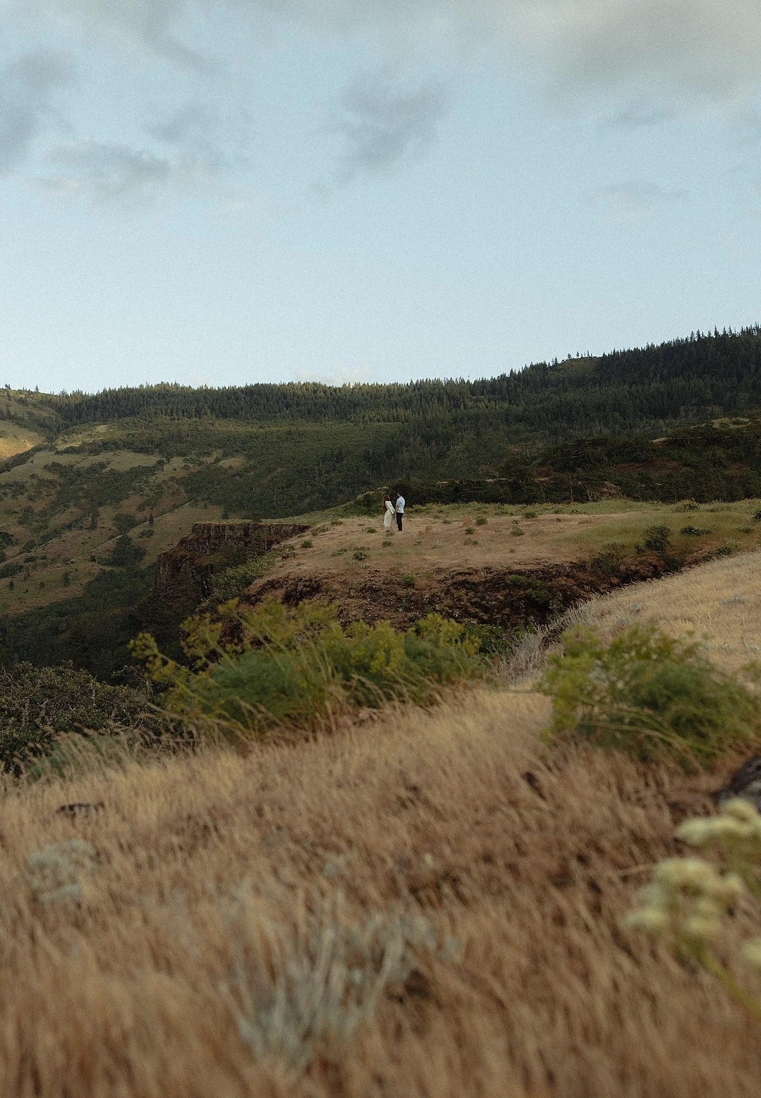 rowena-crest-engagement-session-sunset_0011.jpg