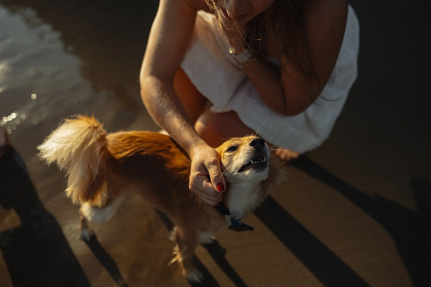 cannon-beach-engagement-photos-golden-hour_0006.jpg
