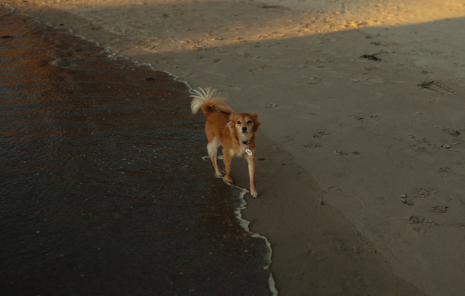 cannon-beach-engagement-photos-golden-hour_0031.jpg