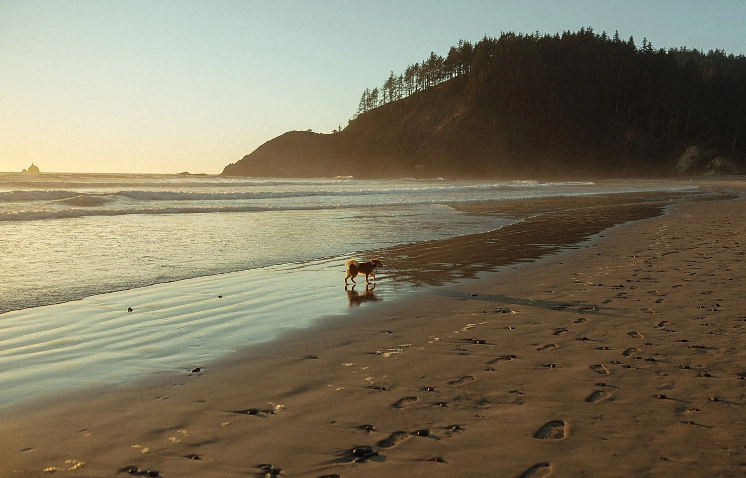 cannon-beach-engagement-photos-golden-hour_0032.jpg