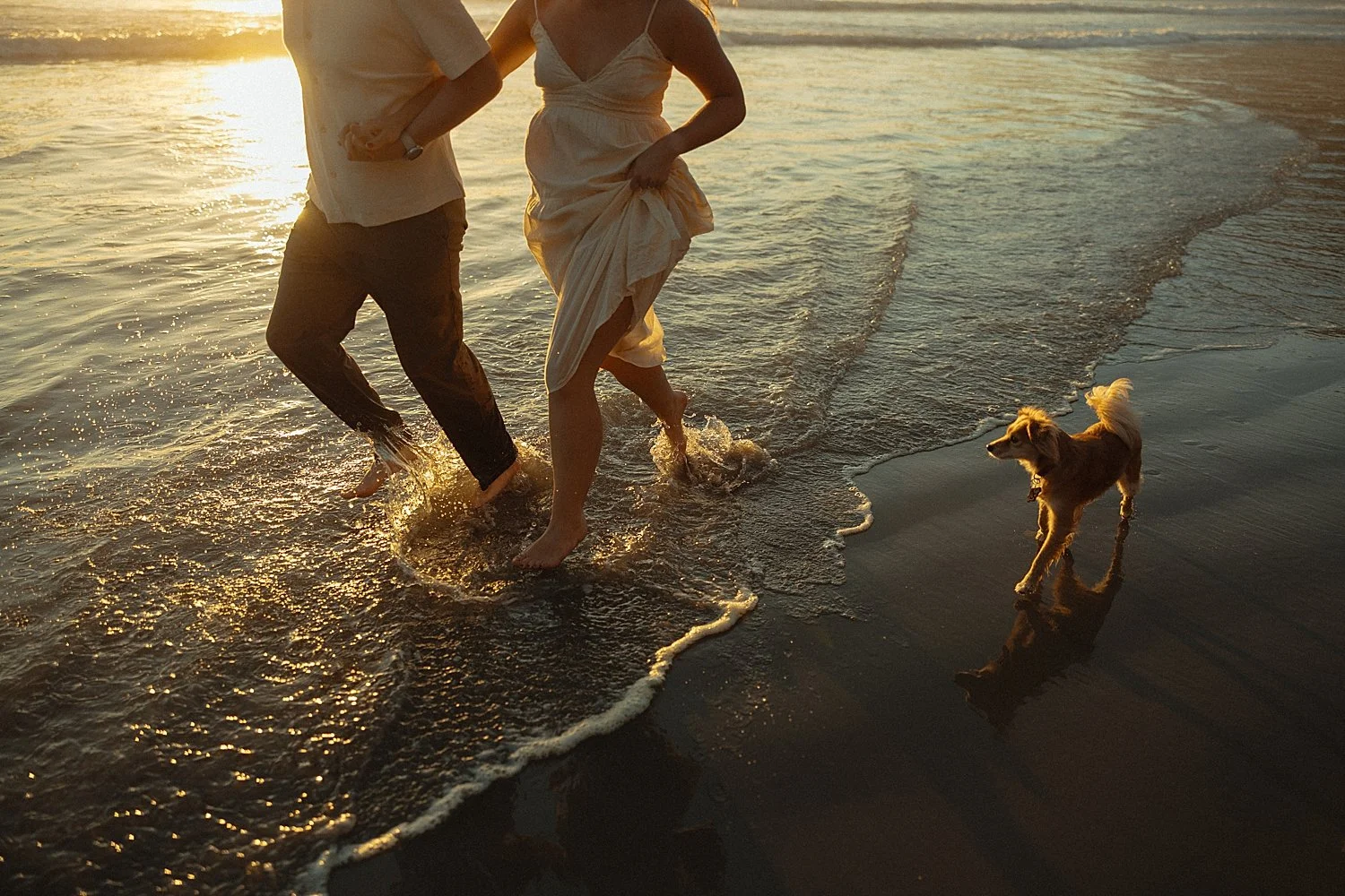 cannon-beach-engagement-photos-golden-hour_0034.jpg