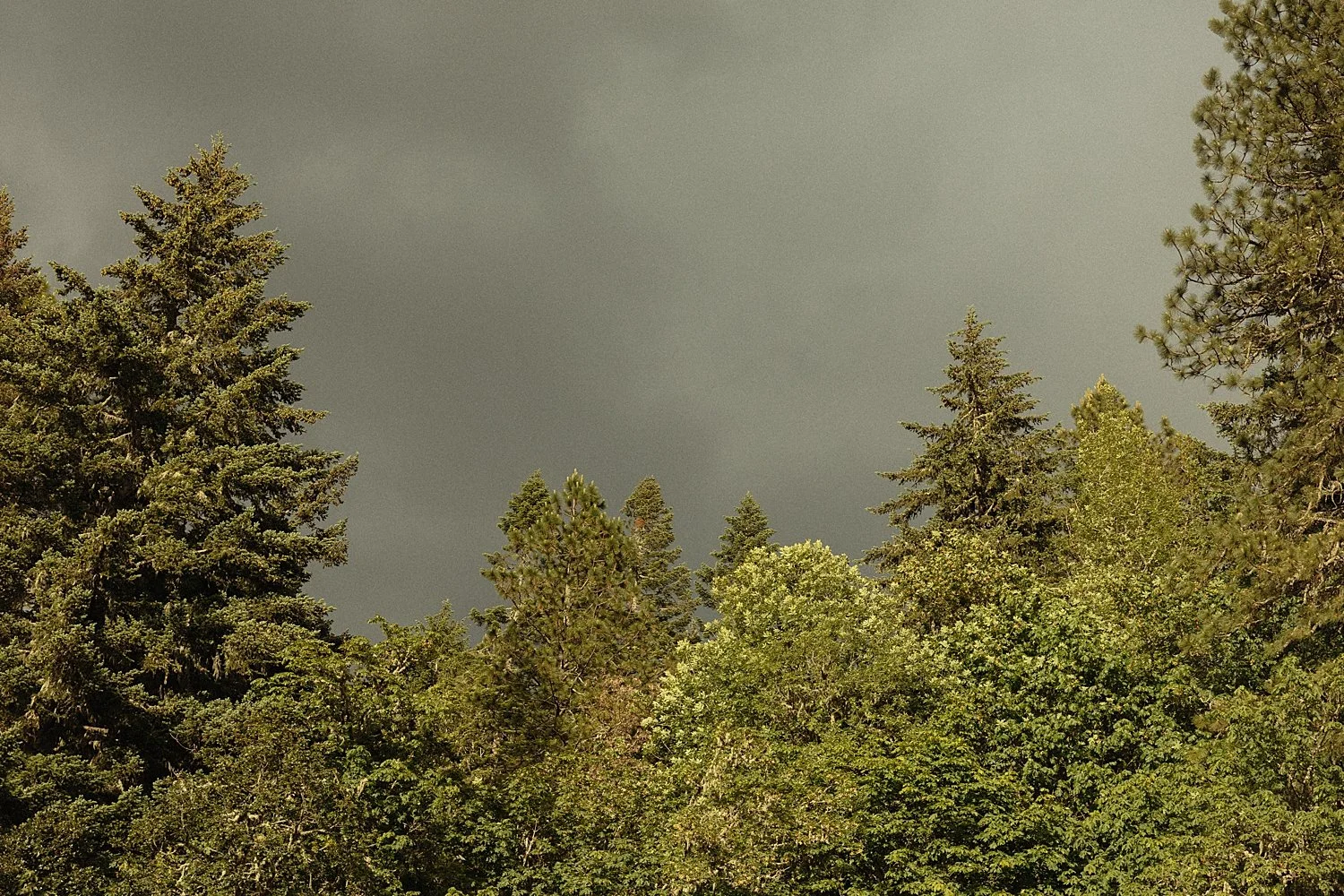 mount-tom-house-wedding-oregon_0031.jpg