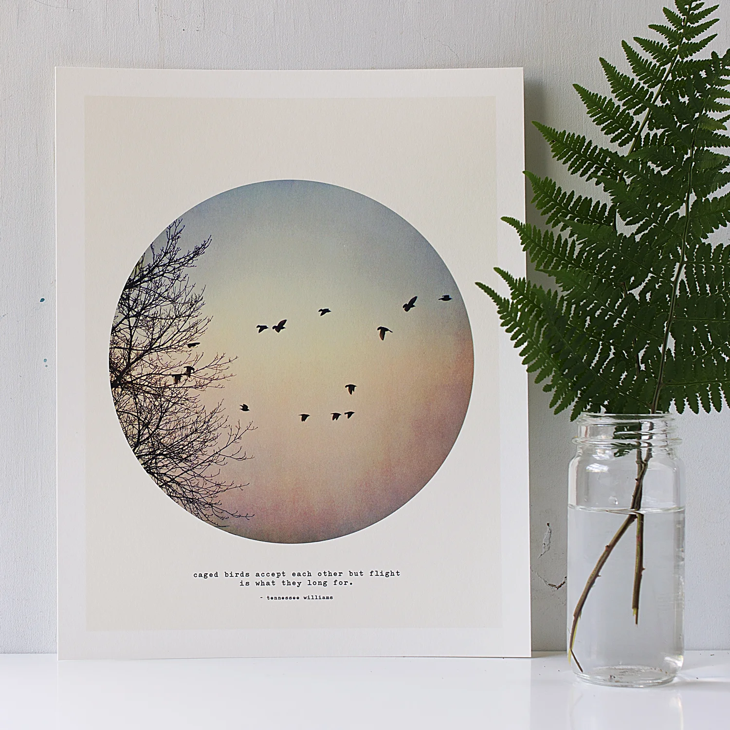 Birds.jpg