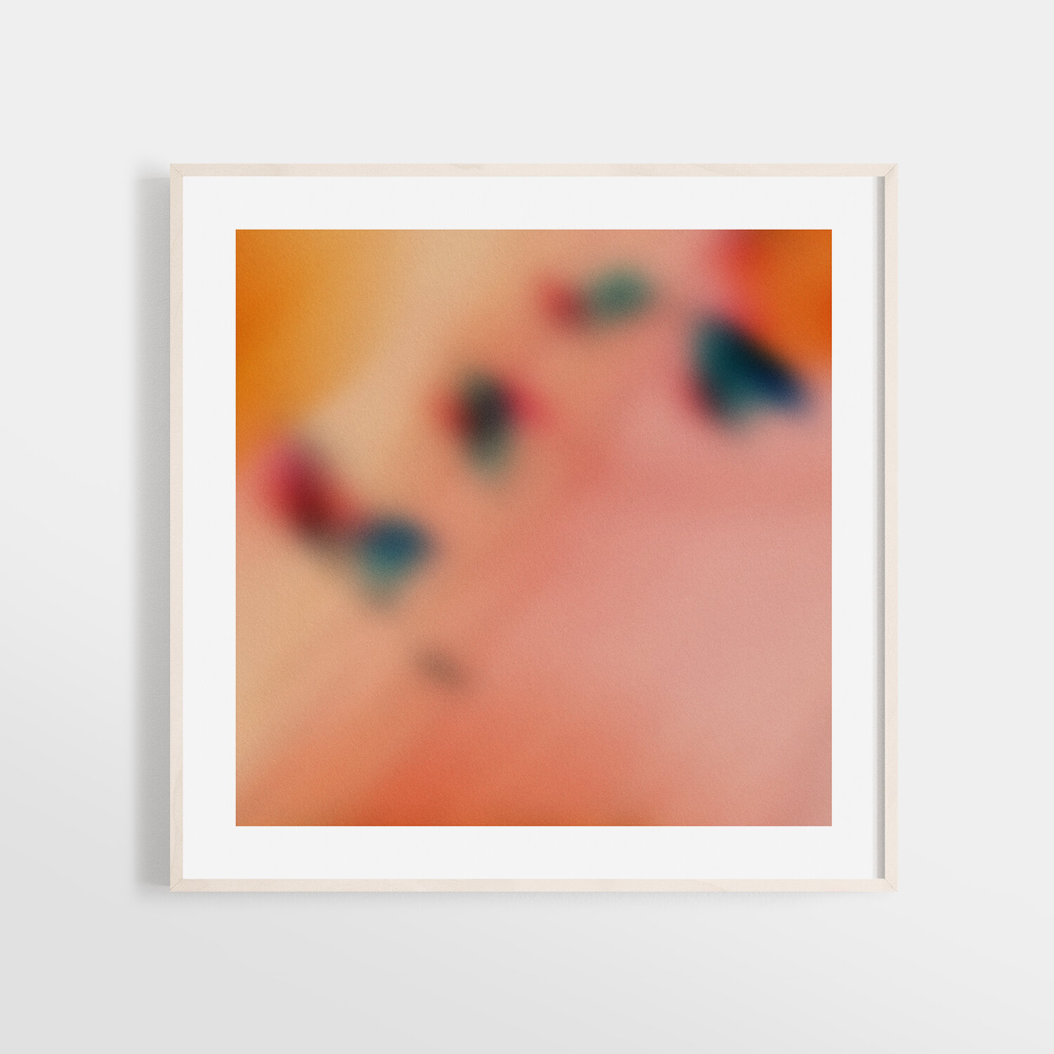 Flutter_Frame.jpg