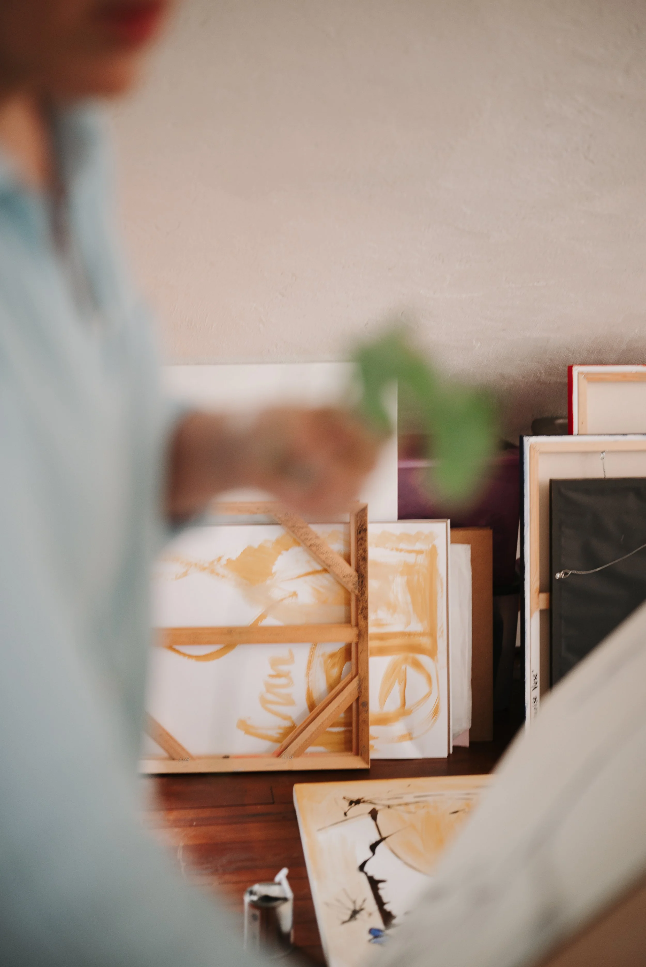 Steph Gibson HR-22.jpg