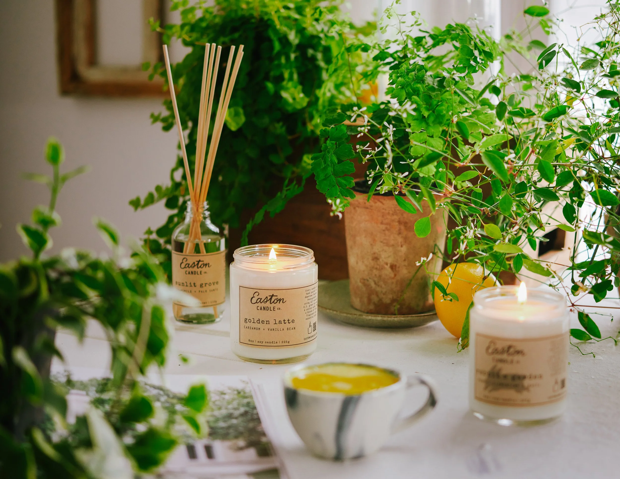 Tina Crespo Philadelphia Candle Photo.jpg