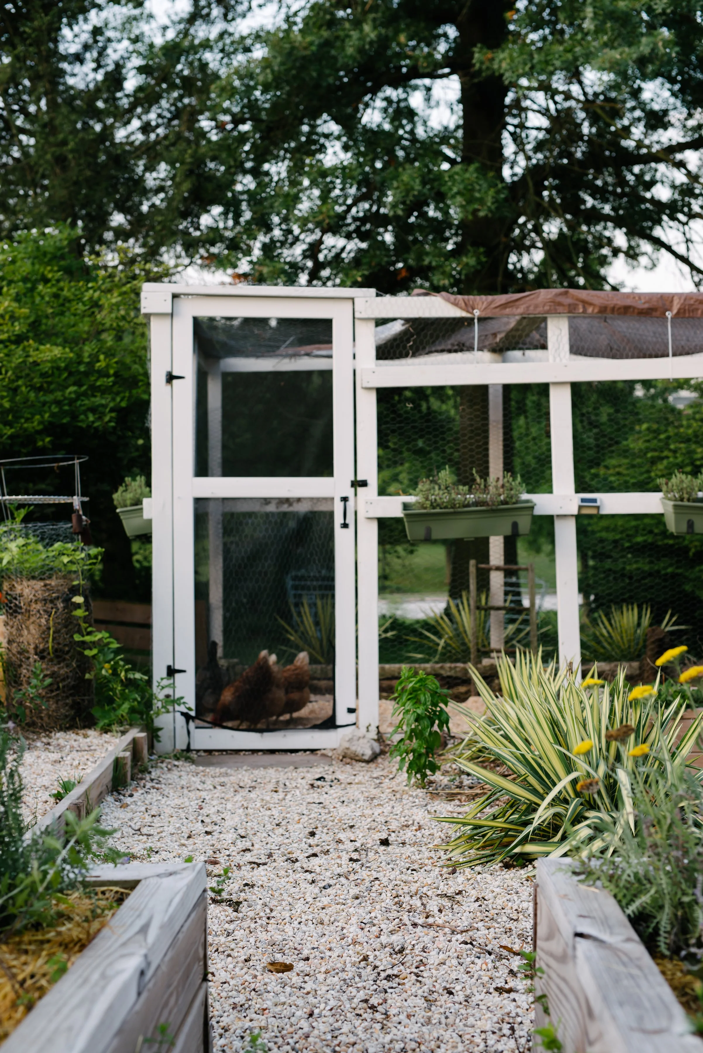 Exterior_6.jpg