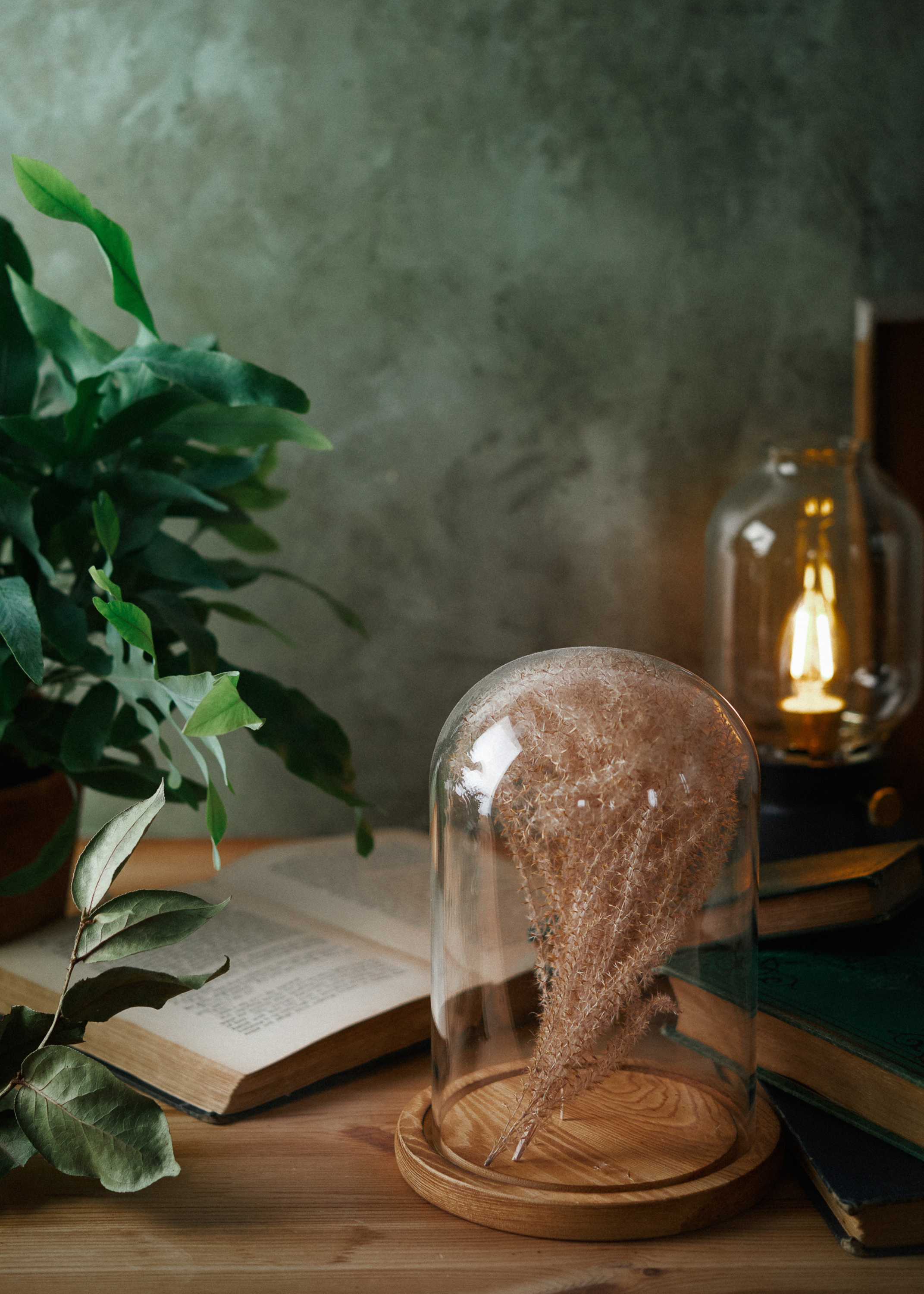 Moody Desk Scene Tina Crespo Photography.png