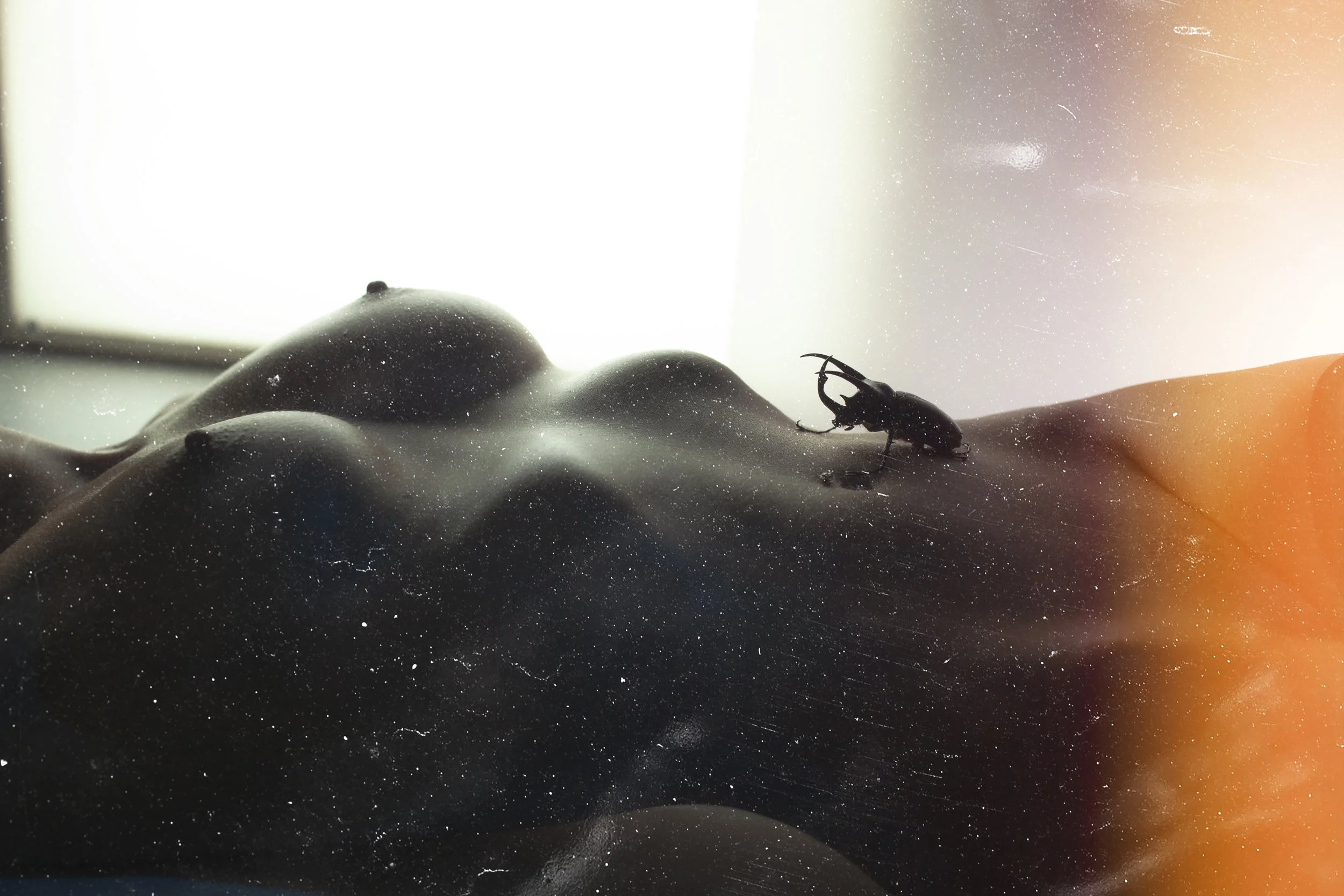 BEETLE