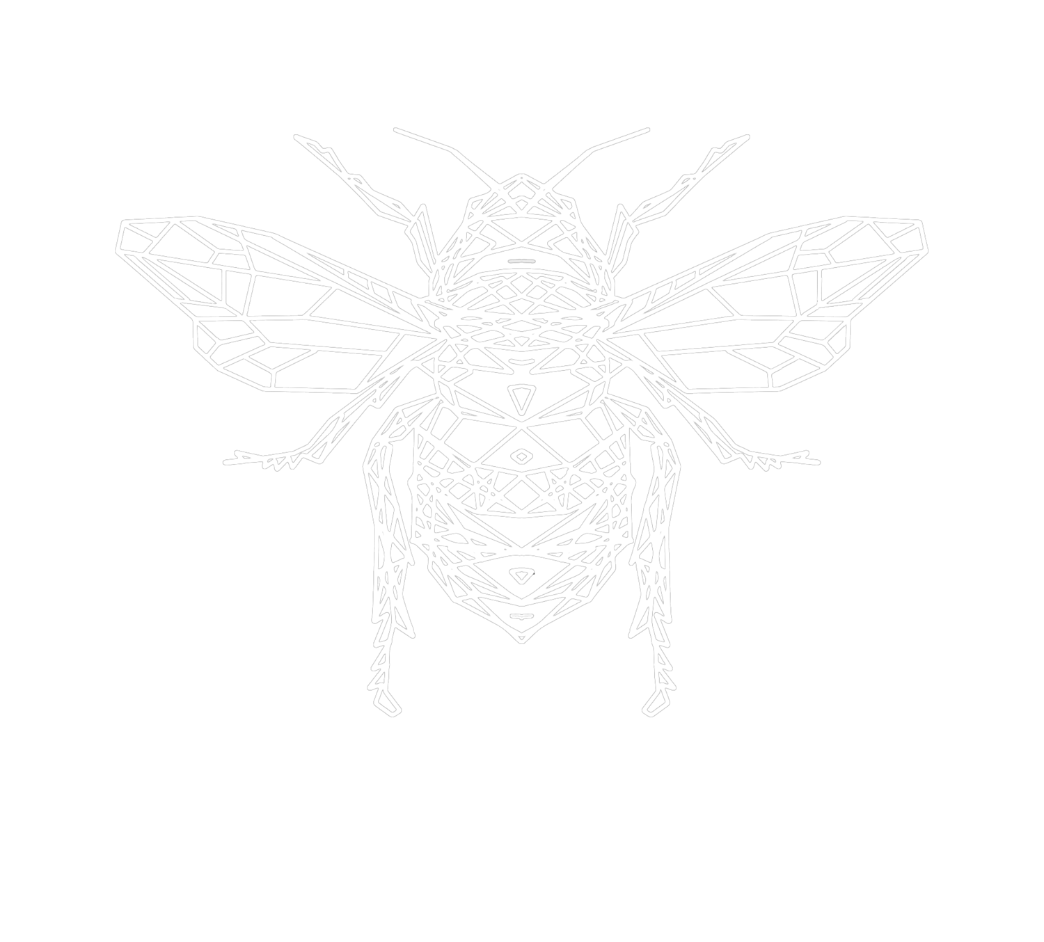 Samuel Ridge Photography & Art