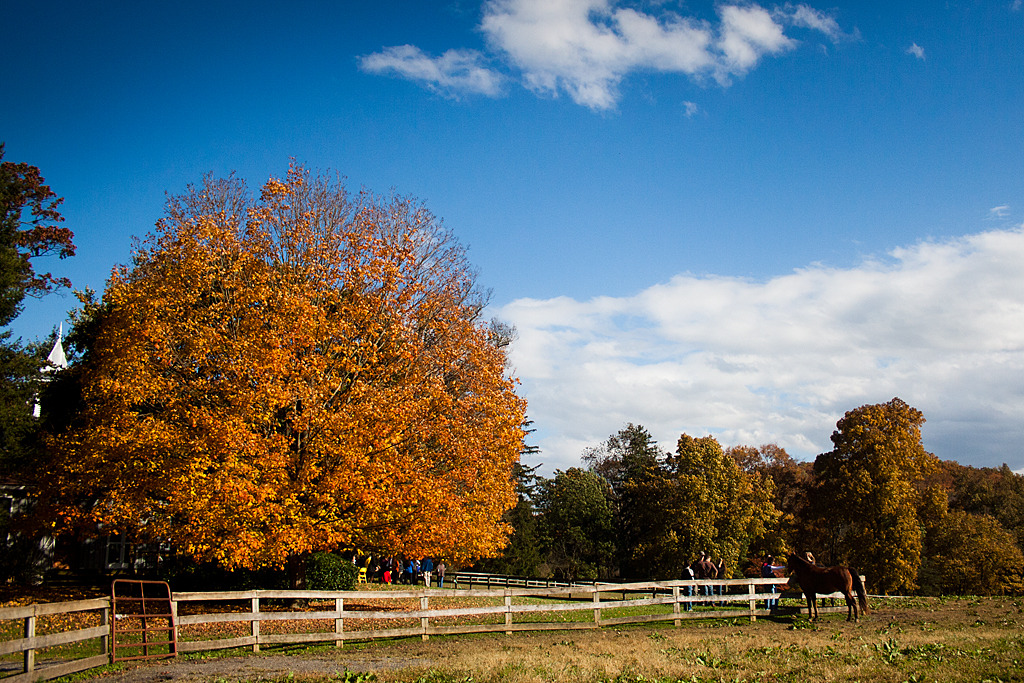 _mg_9491.jpg