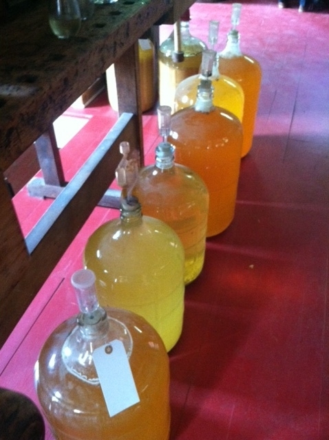 bottled cider.jpg