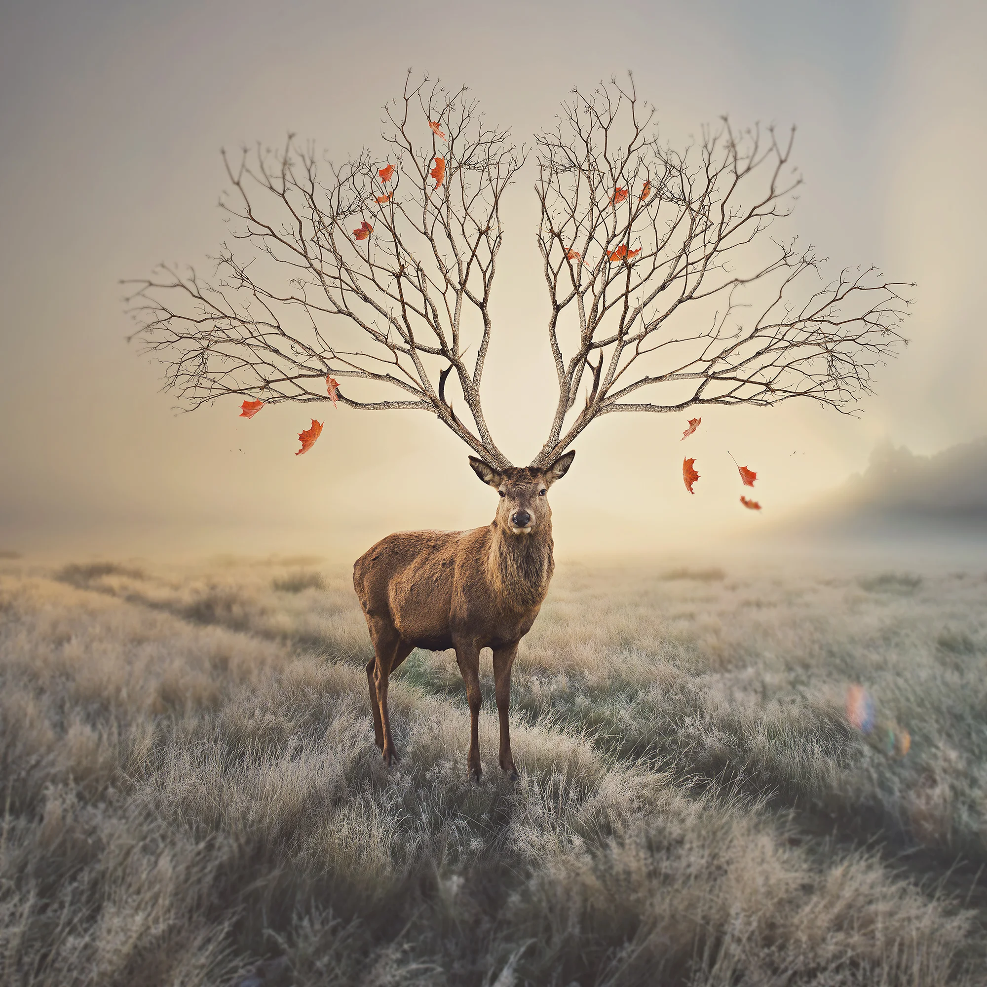 To Everything There Is A Season