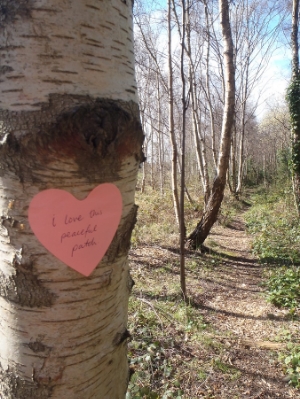 Find and honour that special nature spot . A patch of Birch trees I found on my birthday wander. :)