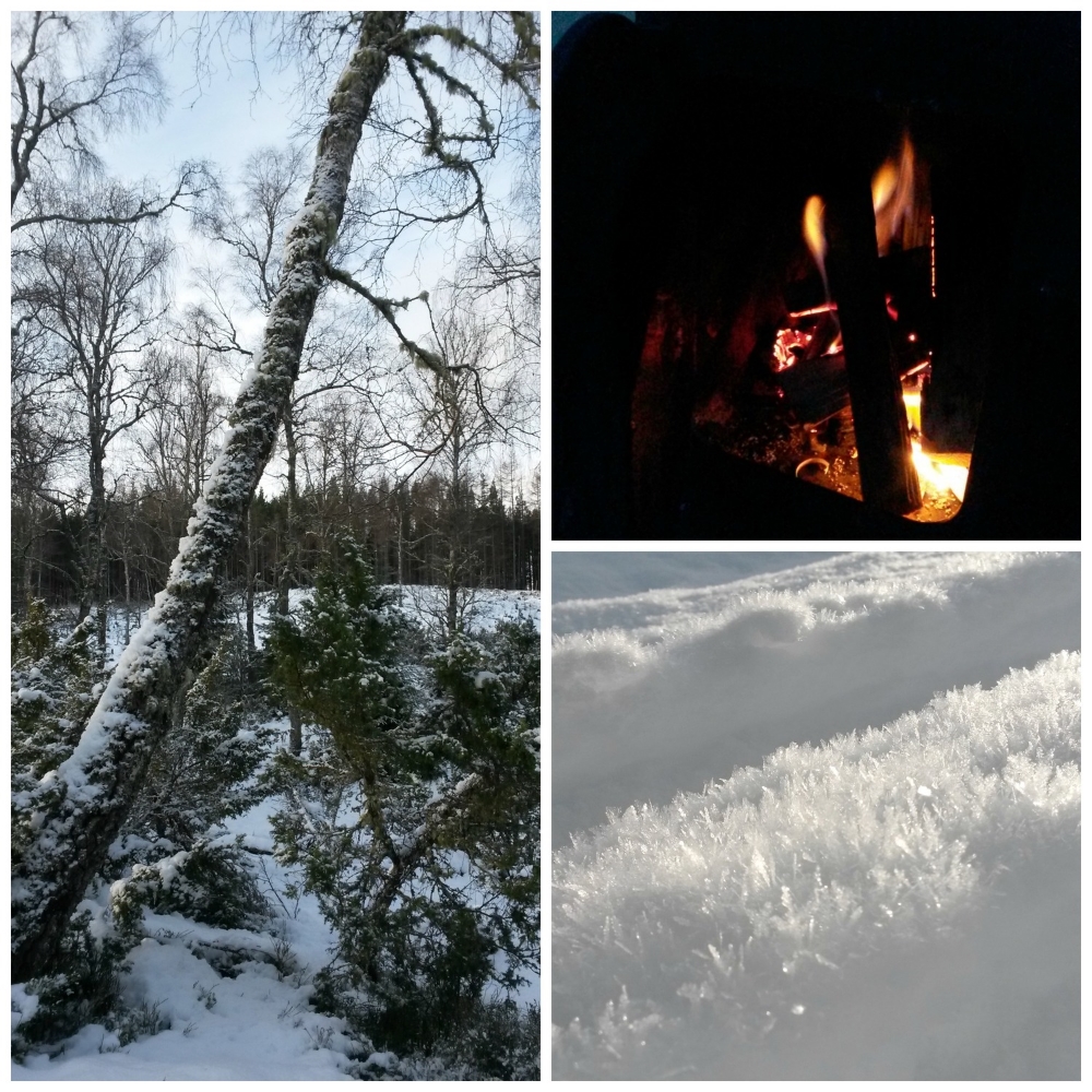 fire snow tree.jpg