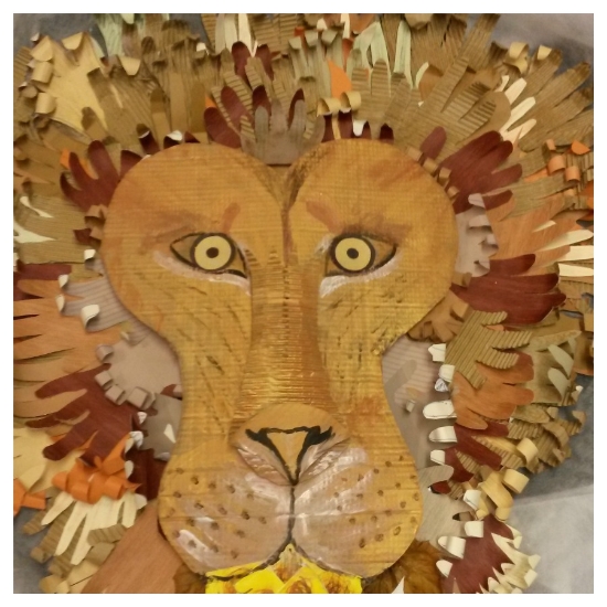 Aslan - cardboard hands made by each participant to form his magnificent mane.