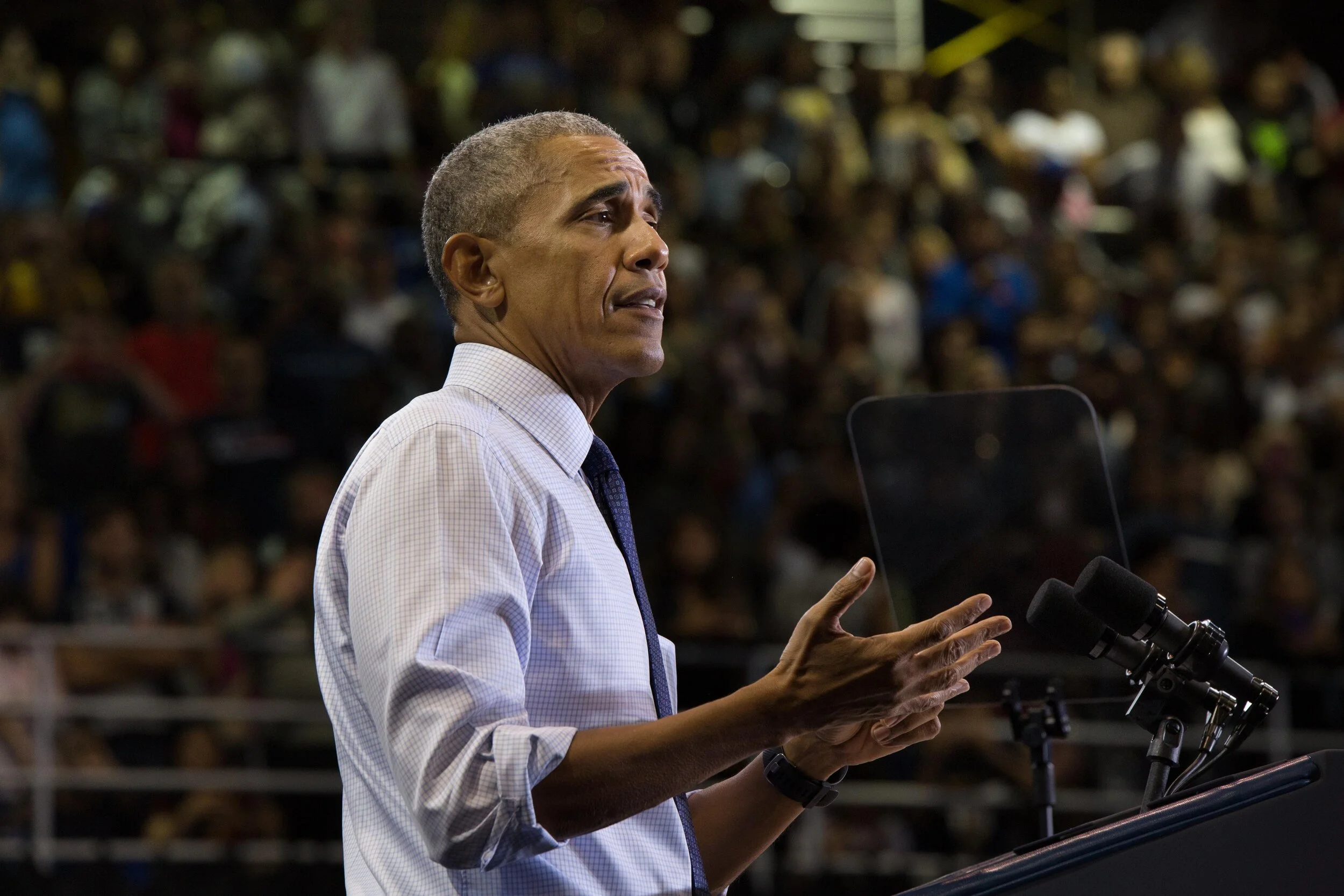 ALAN MOZES ©_ASMP-17.jpg