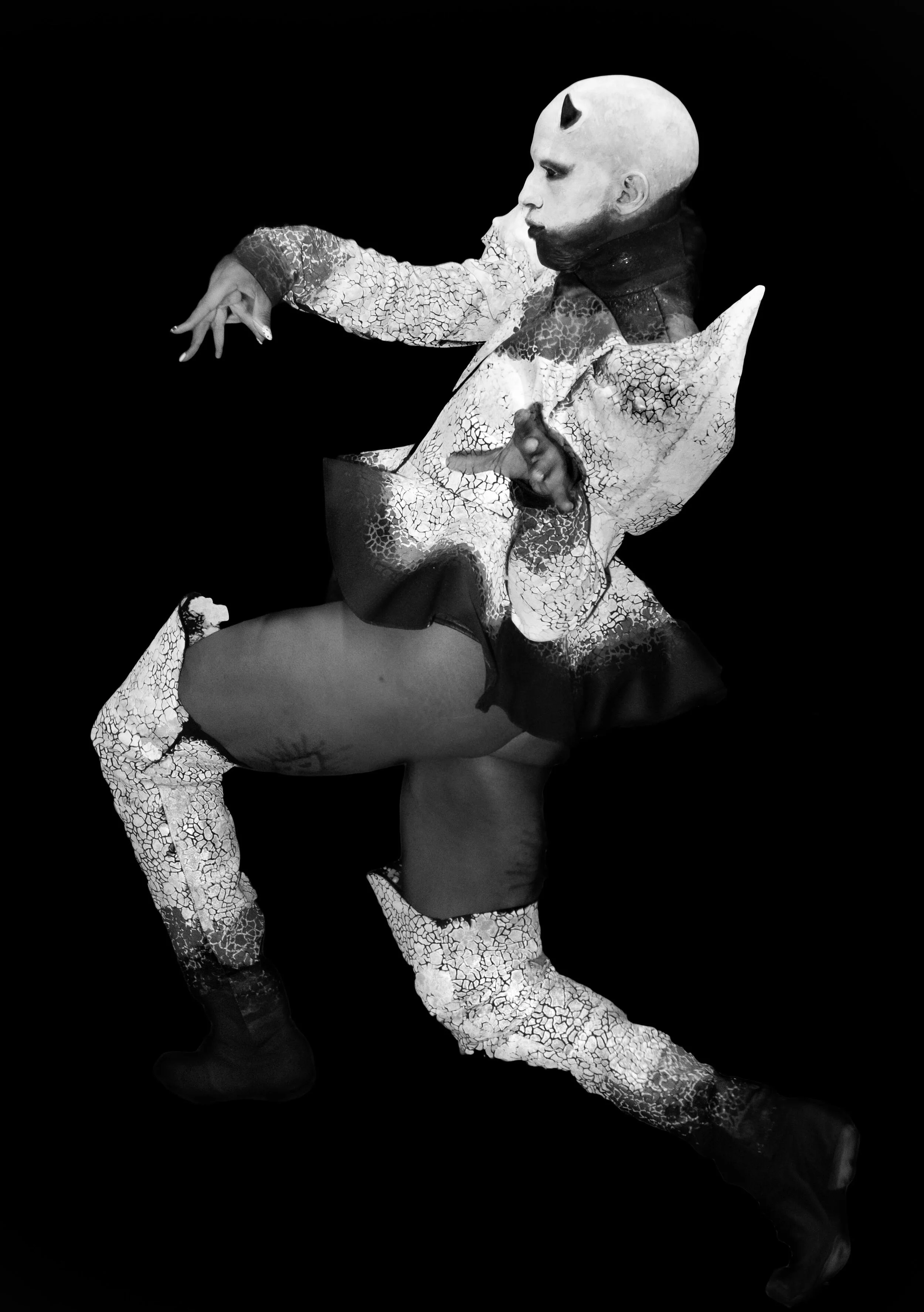 ALAN MOZES ©_ASMP-29.jpg