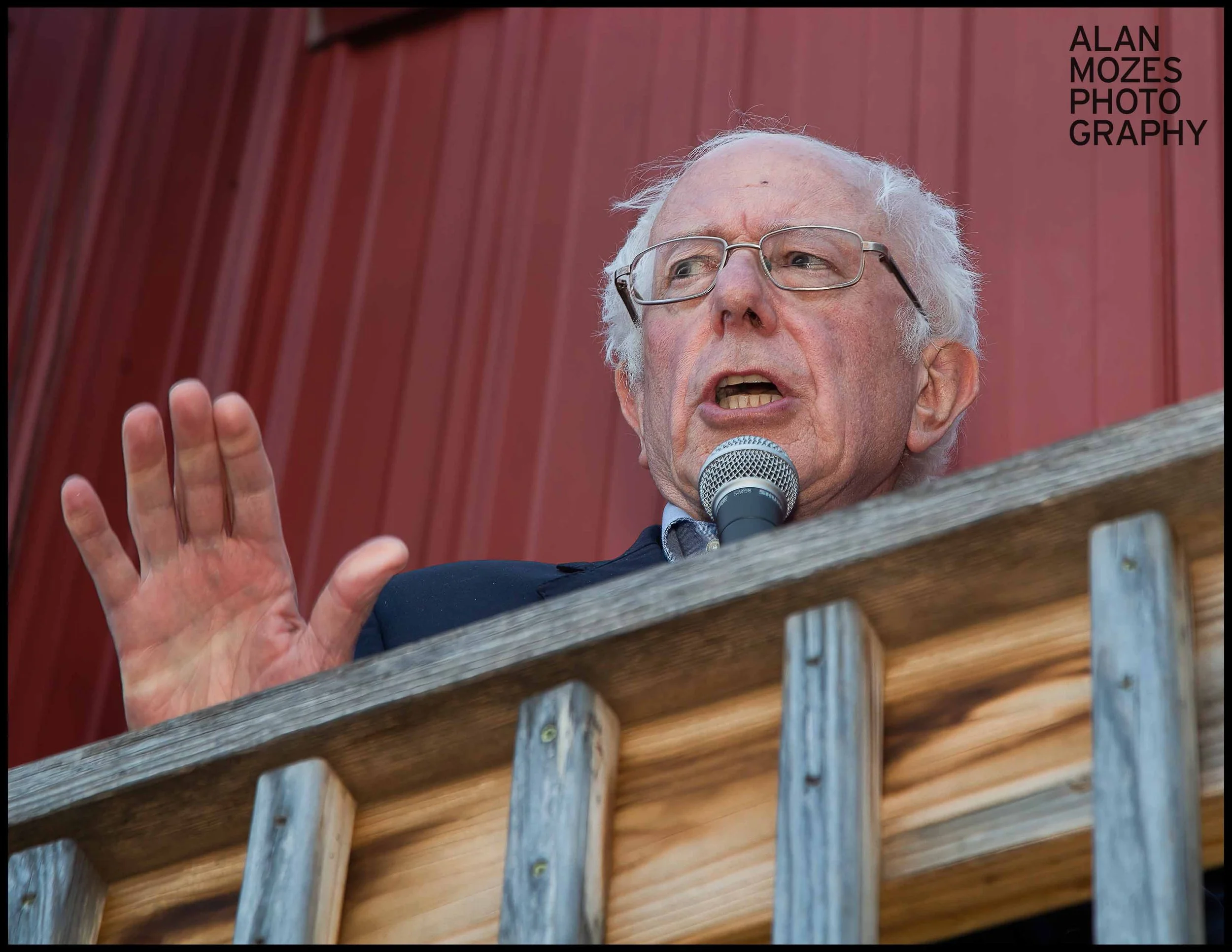 BERNIE_1.jpg