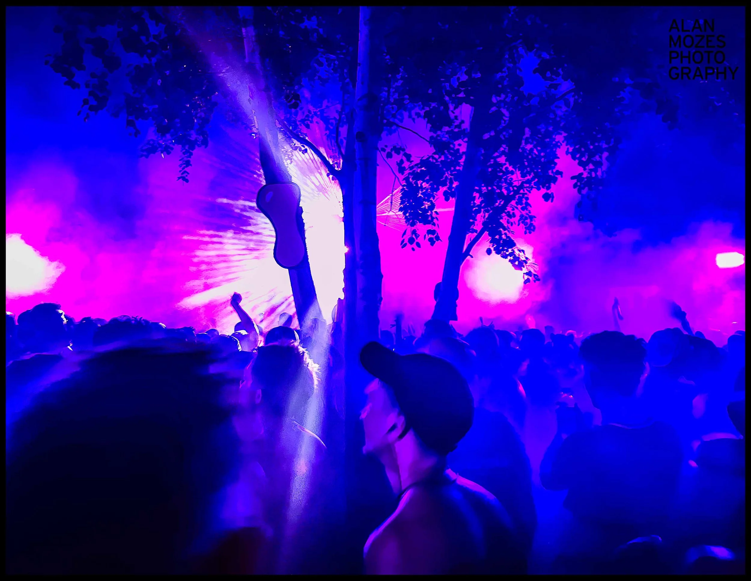 WHOLE 25_© Alan Mozes_L_29.jpg