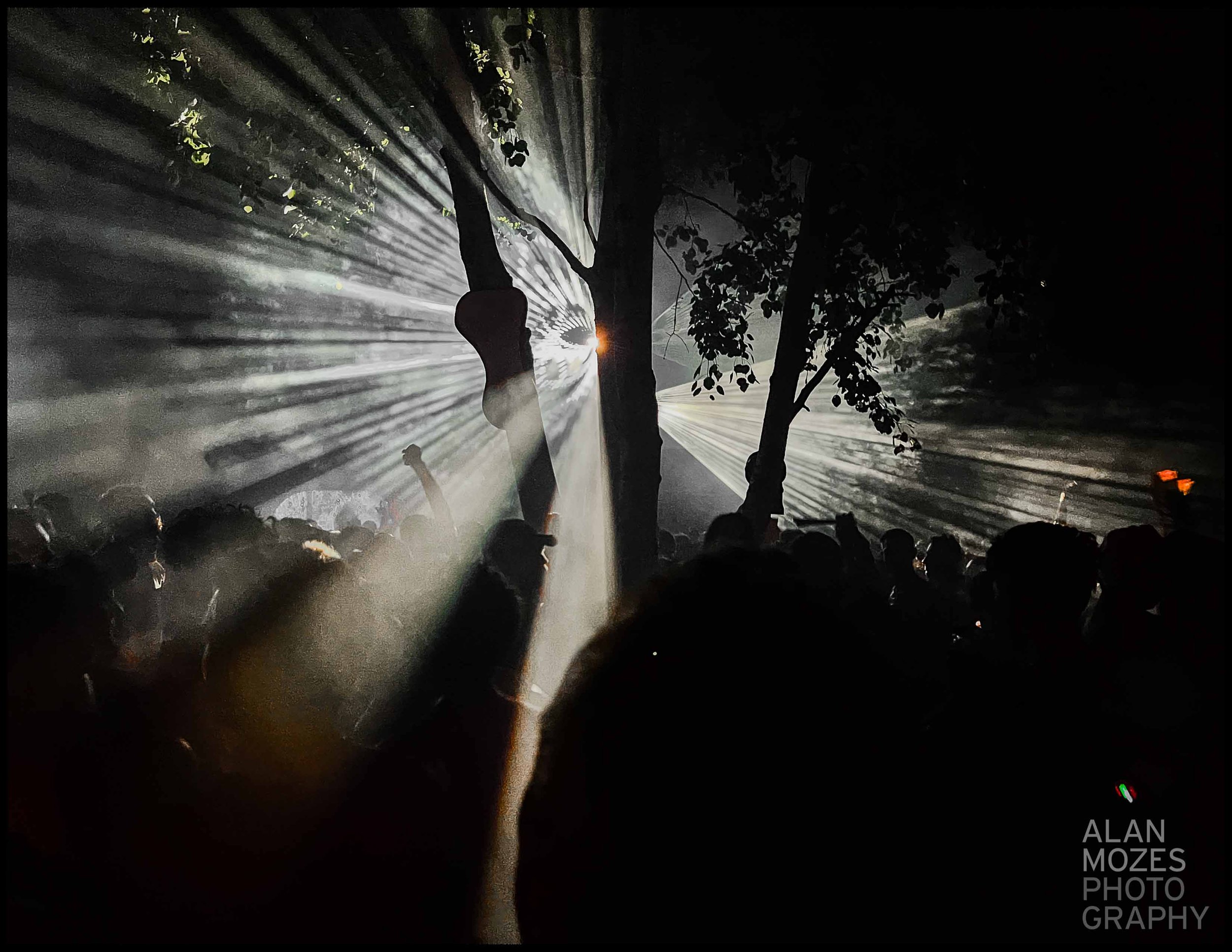 WHOLE 25_© Alan Mozes_L_36.jpg