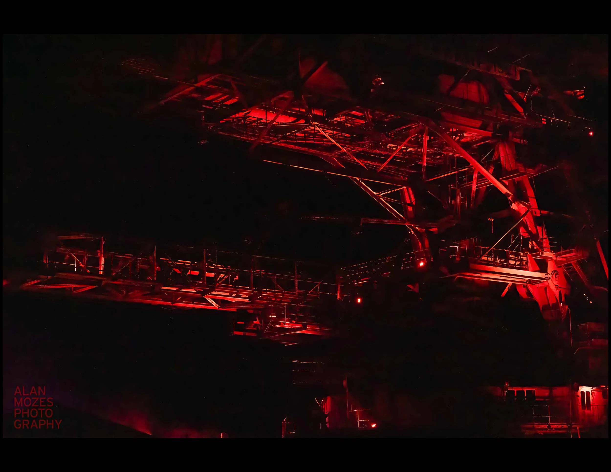 WHOLE 25_© Alan Mozes_L_69.jpg