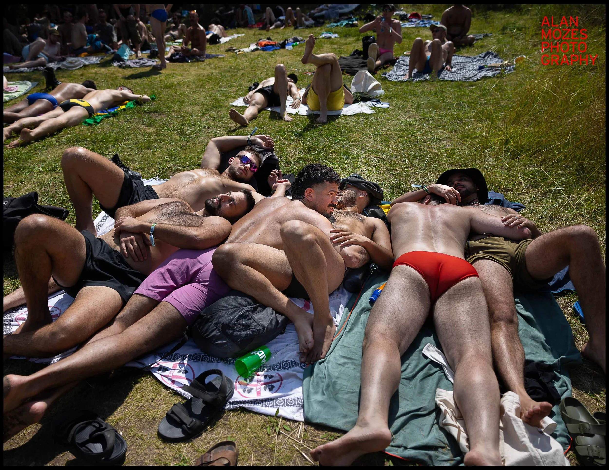 WHOLE 25_© Alan Mozes_L_128.jpg