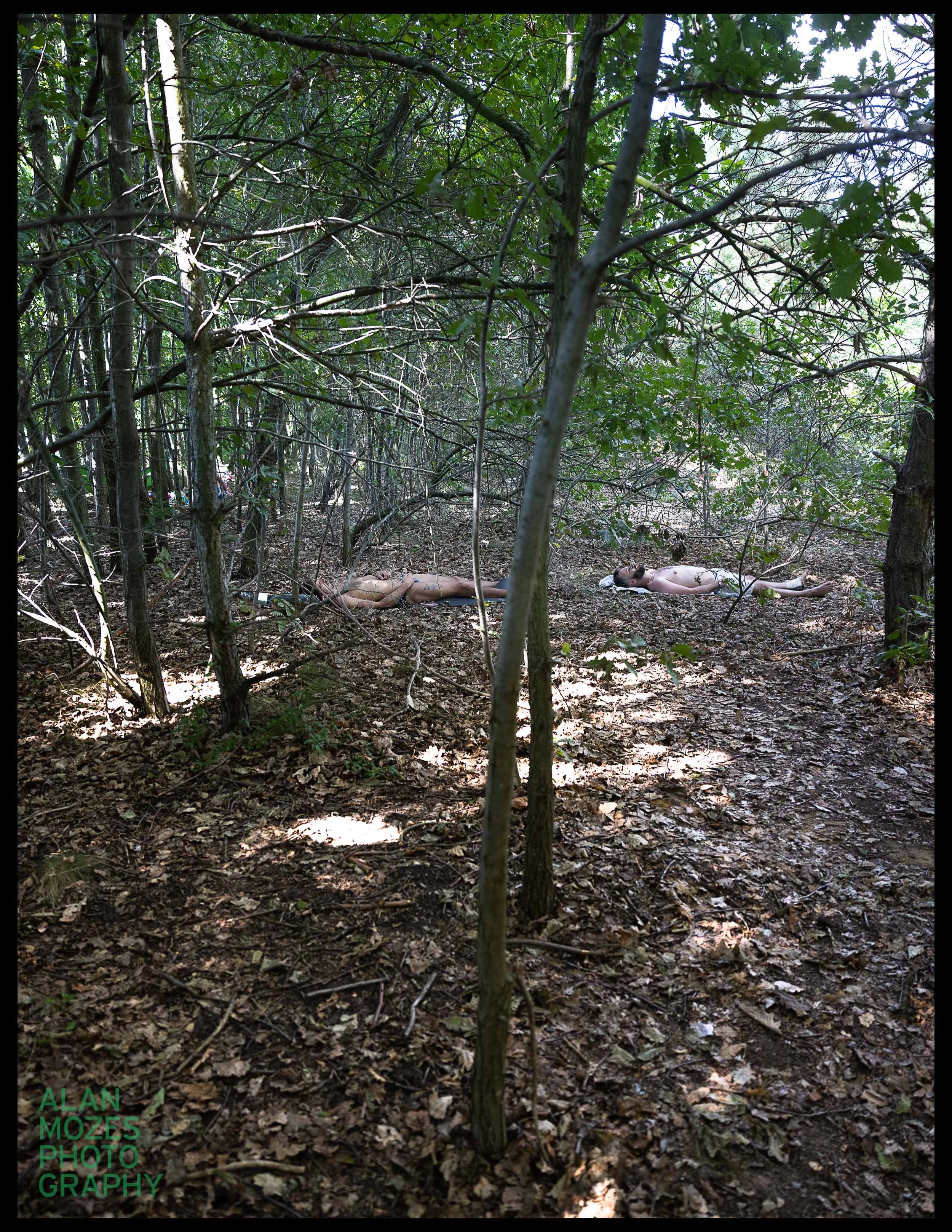 WHOLE 25_© Alan Mozes_L_217.jpg