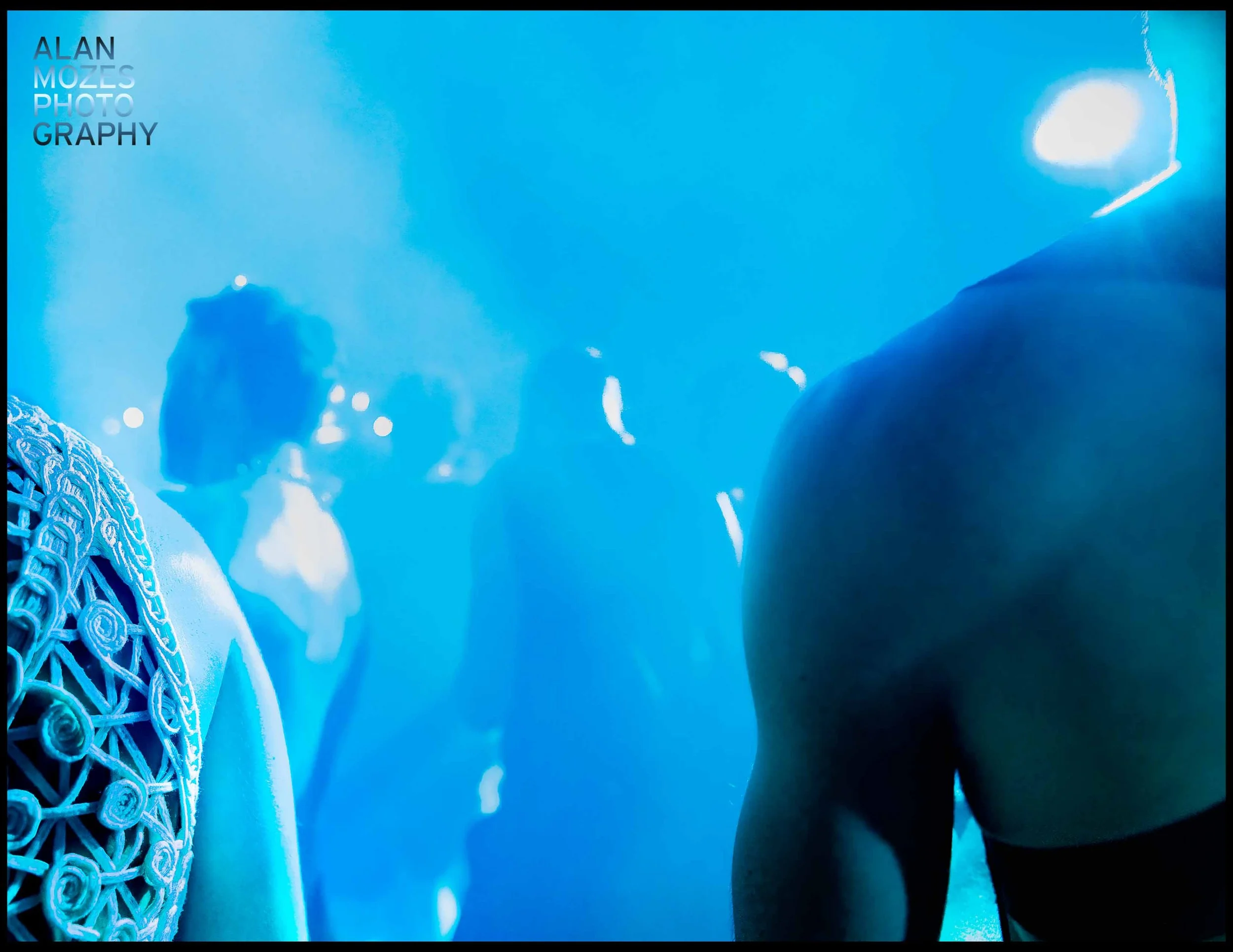 WHOLE 25_© Alan Mozes_L_174B.jpg