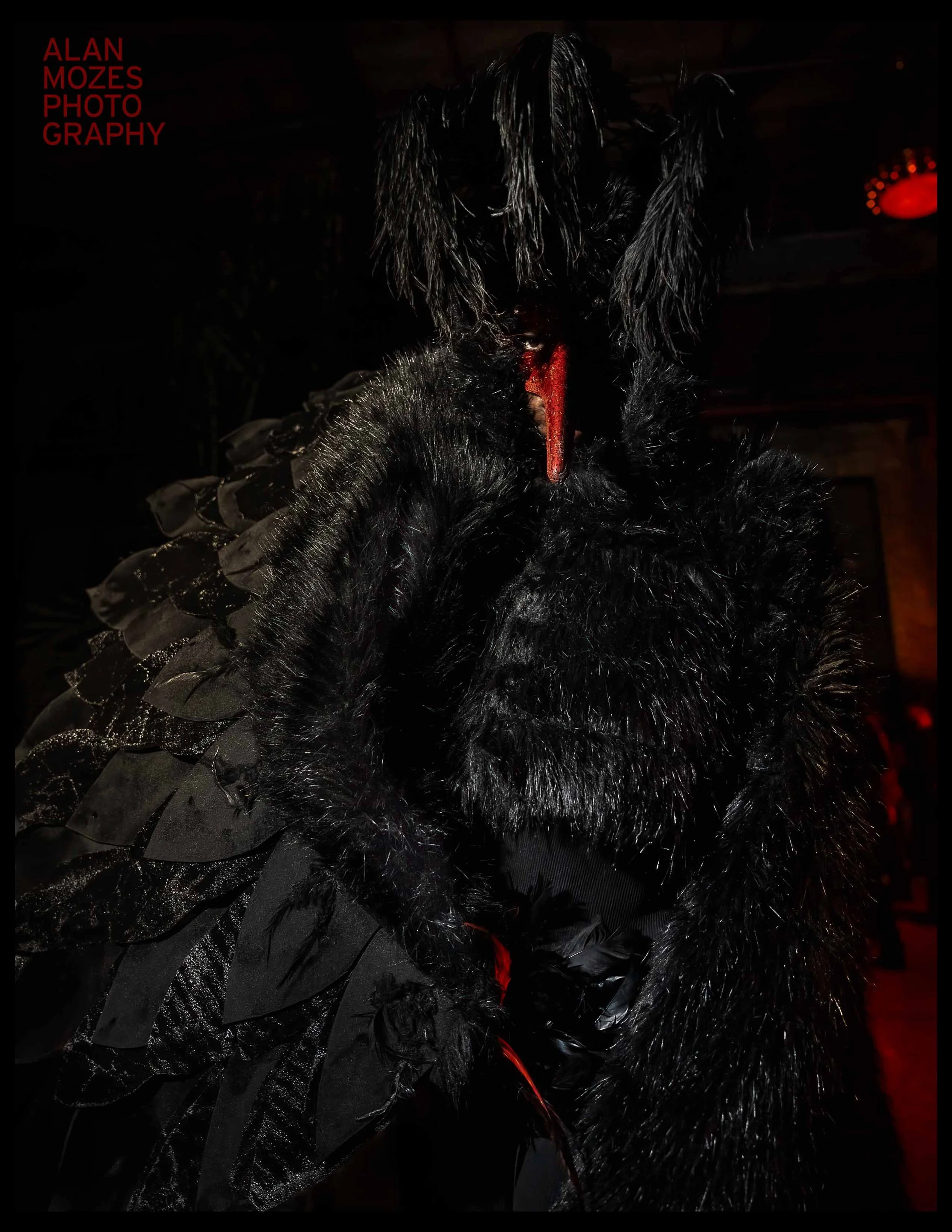 PHOENIX 2025_© Alan Mozes 2025_Post GM_15.jpg