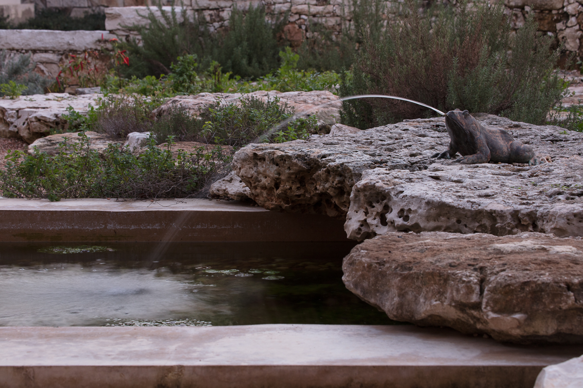 modern-pool-critter20.jpg