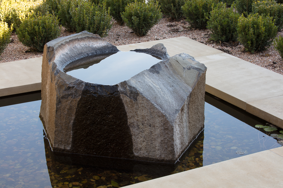modern-pool-critter7.jpg