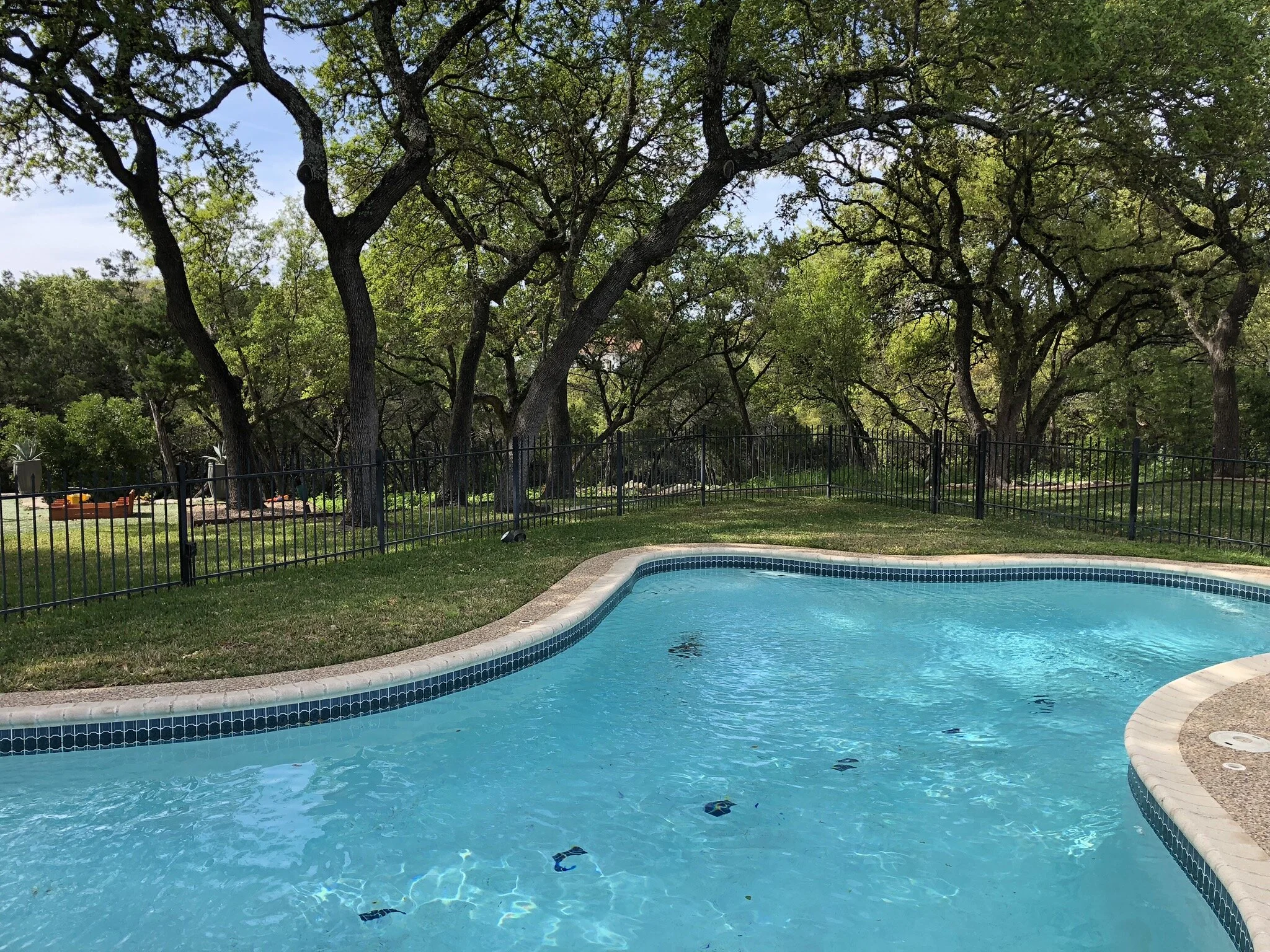  before pool &amp; outdoor living remodel 