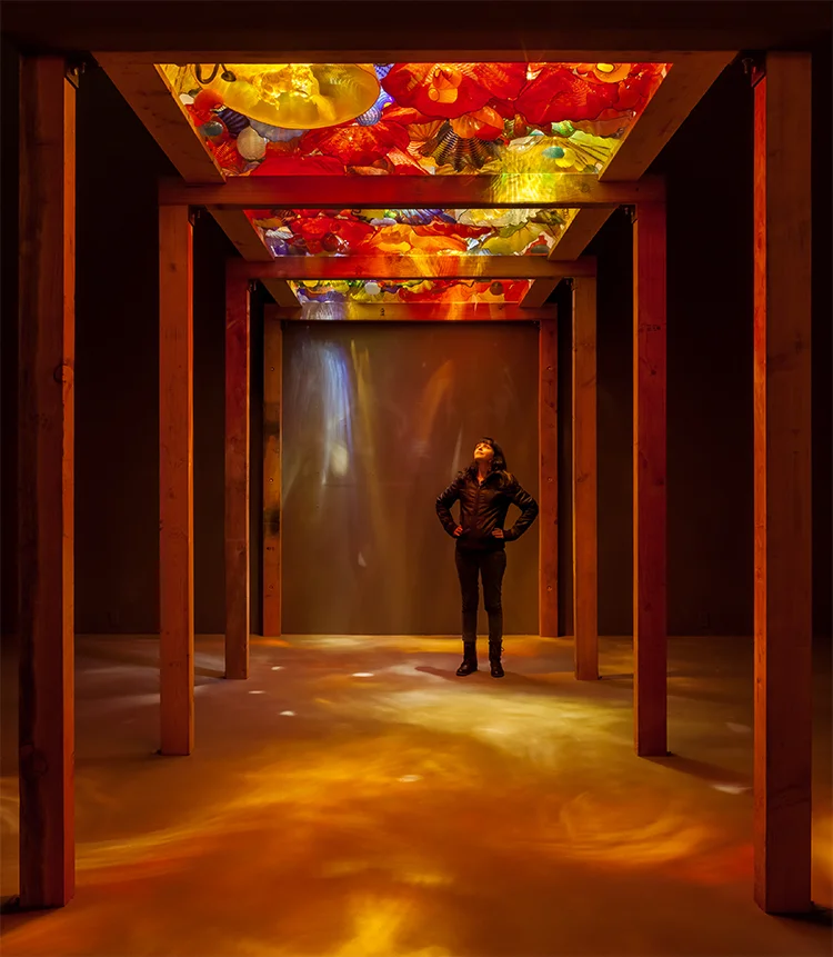 MMChihulyInstall2.jpg