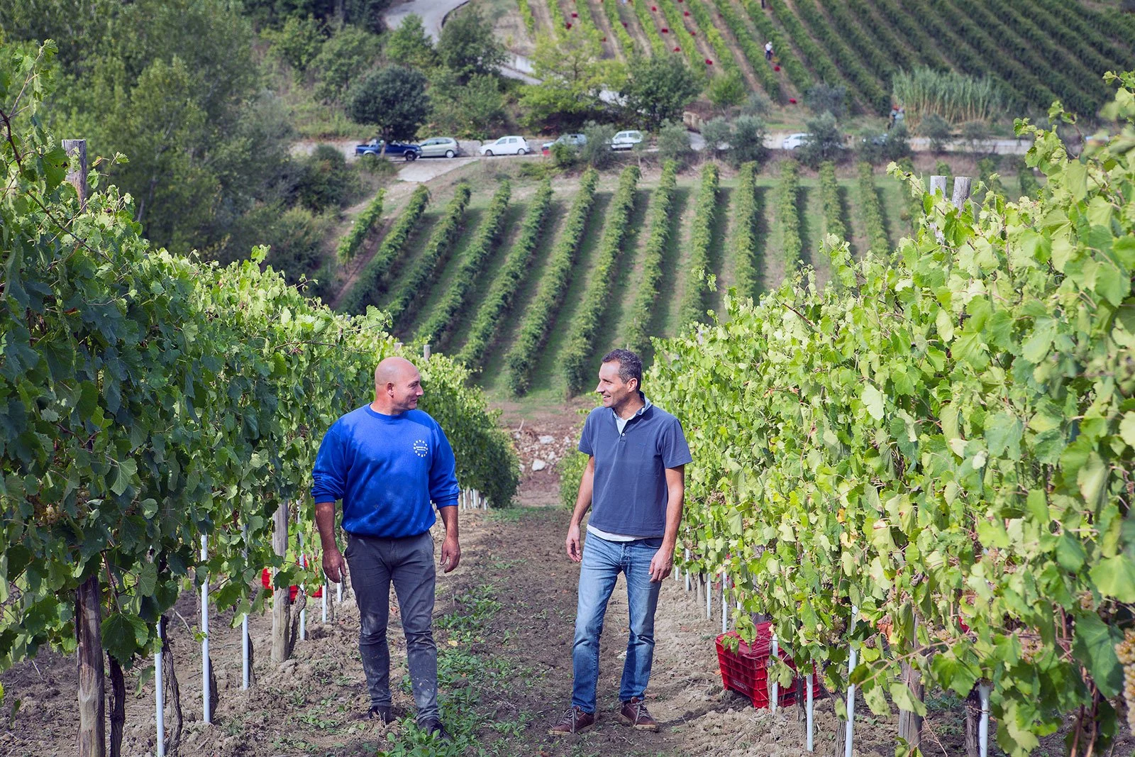 Wine Dinner with Massimo Alois from Alois and Donna Paolina Wineries