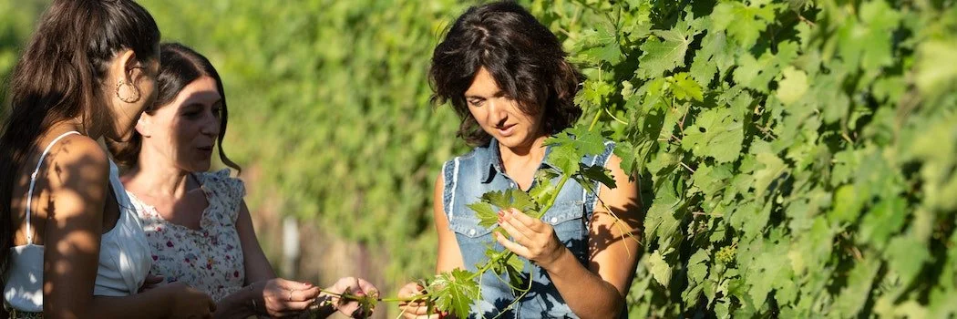 Wine Dinner with Azienda Agricola Chiappini