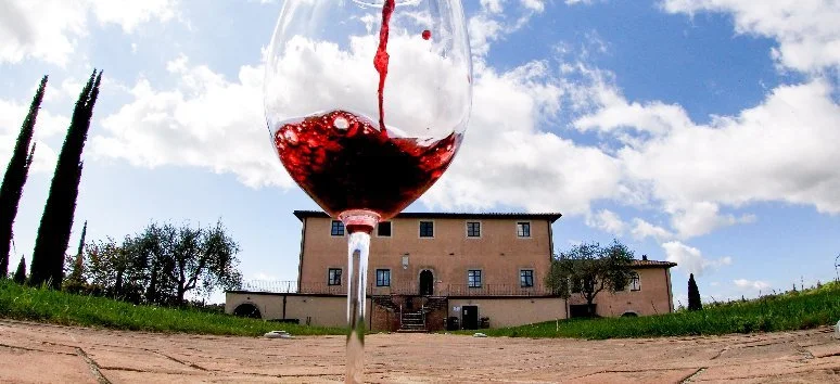 WINE DINNER WITH TOLAINI WINERY  - Cena con Lia Tolaini