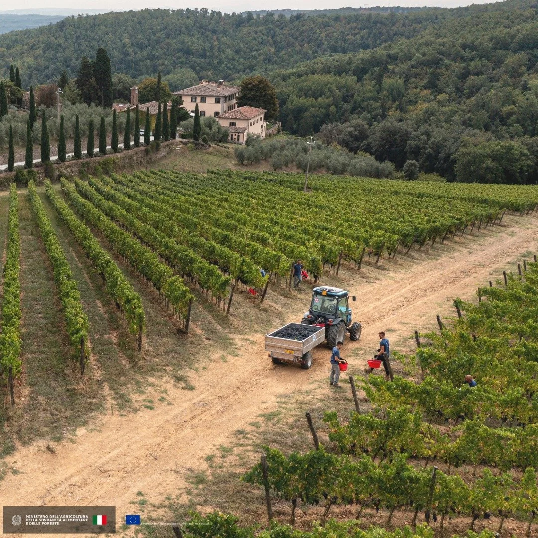 poggio_landi-03.jpg