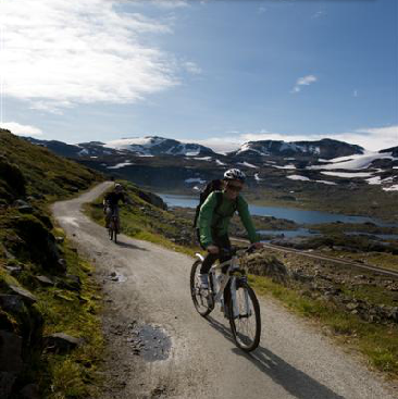 Skjermbilde 2015-08-03 kl. 8.59.30 PM.png