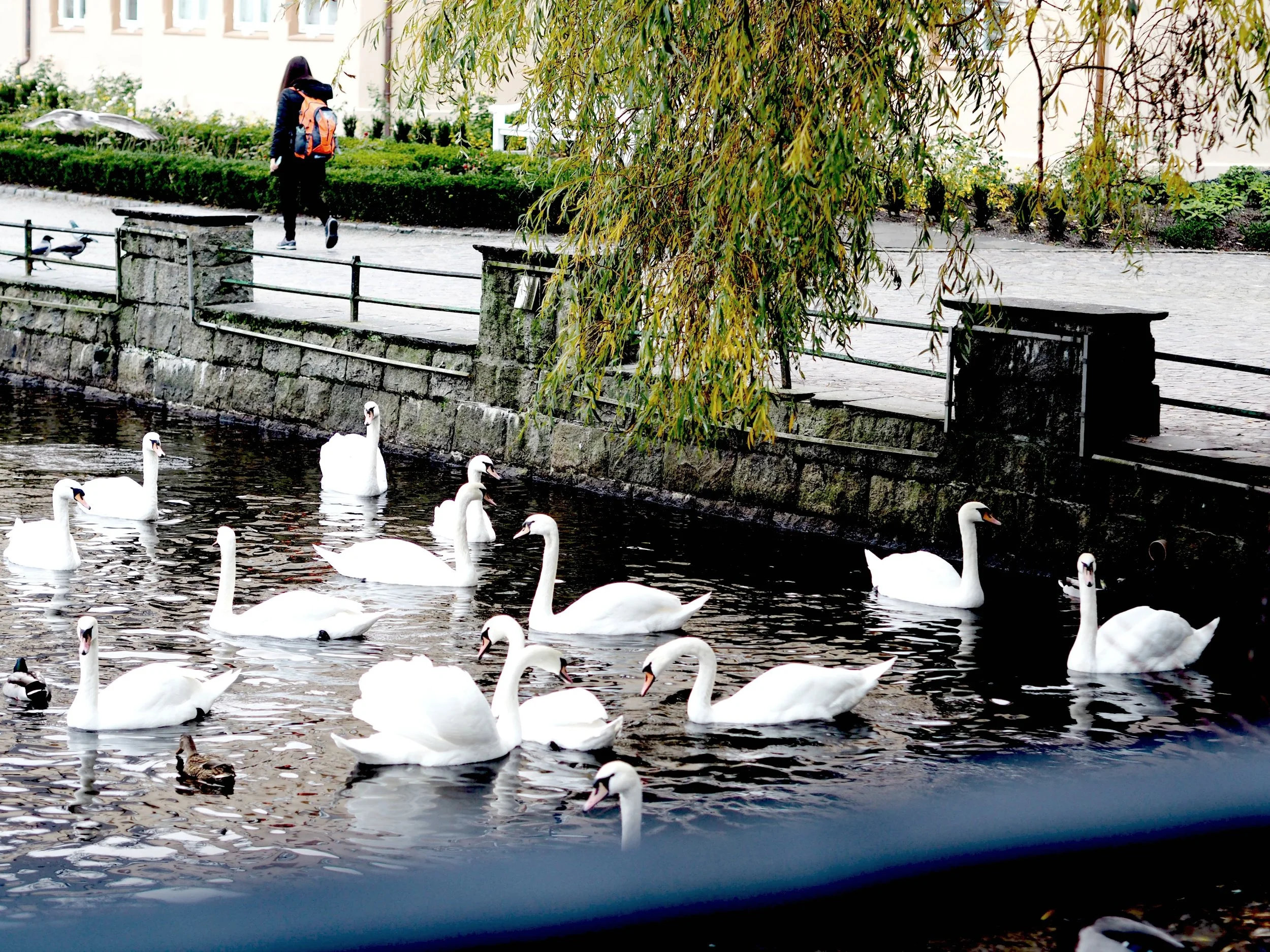 Stavanger by