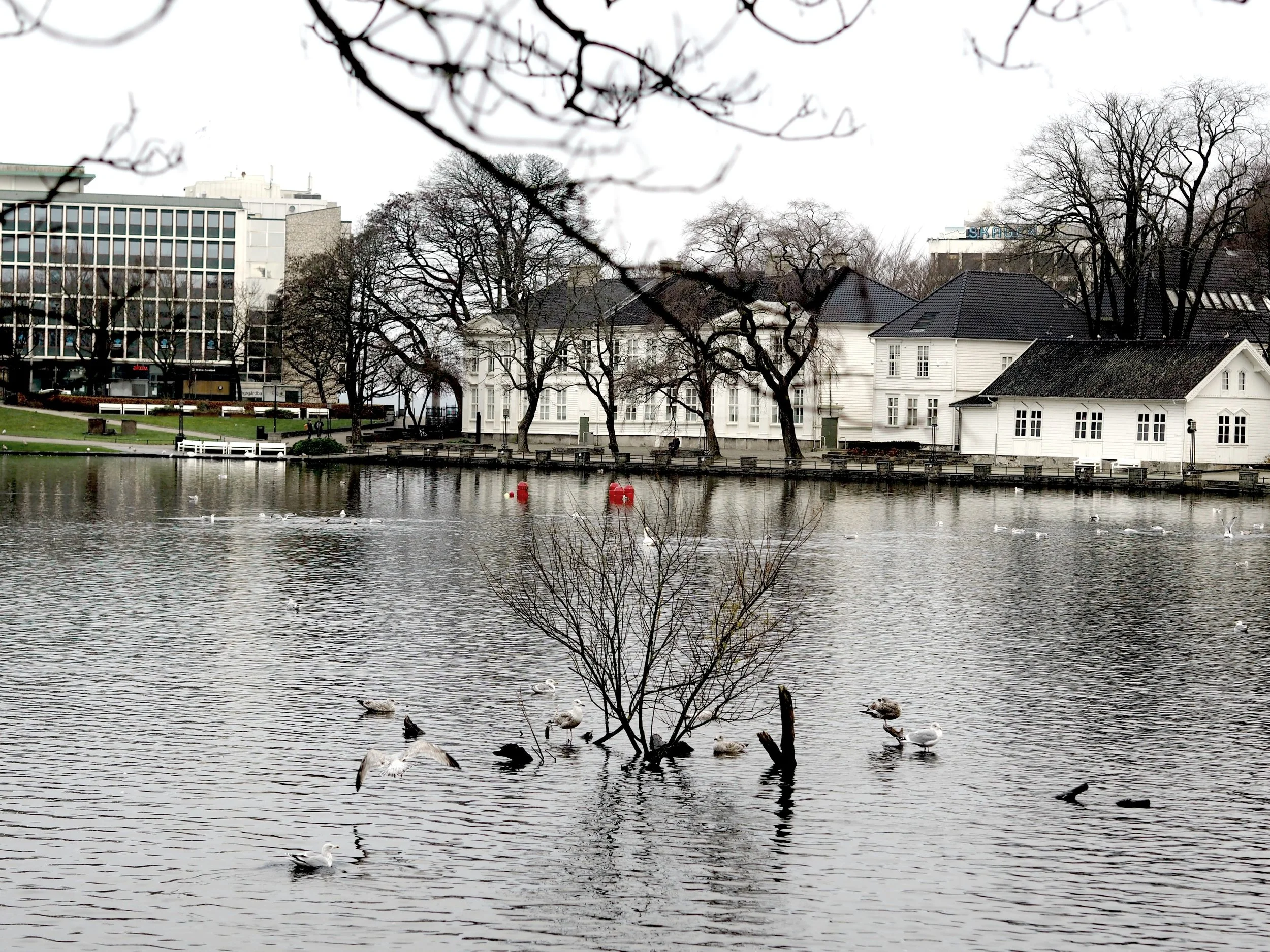 Stavanger by,