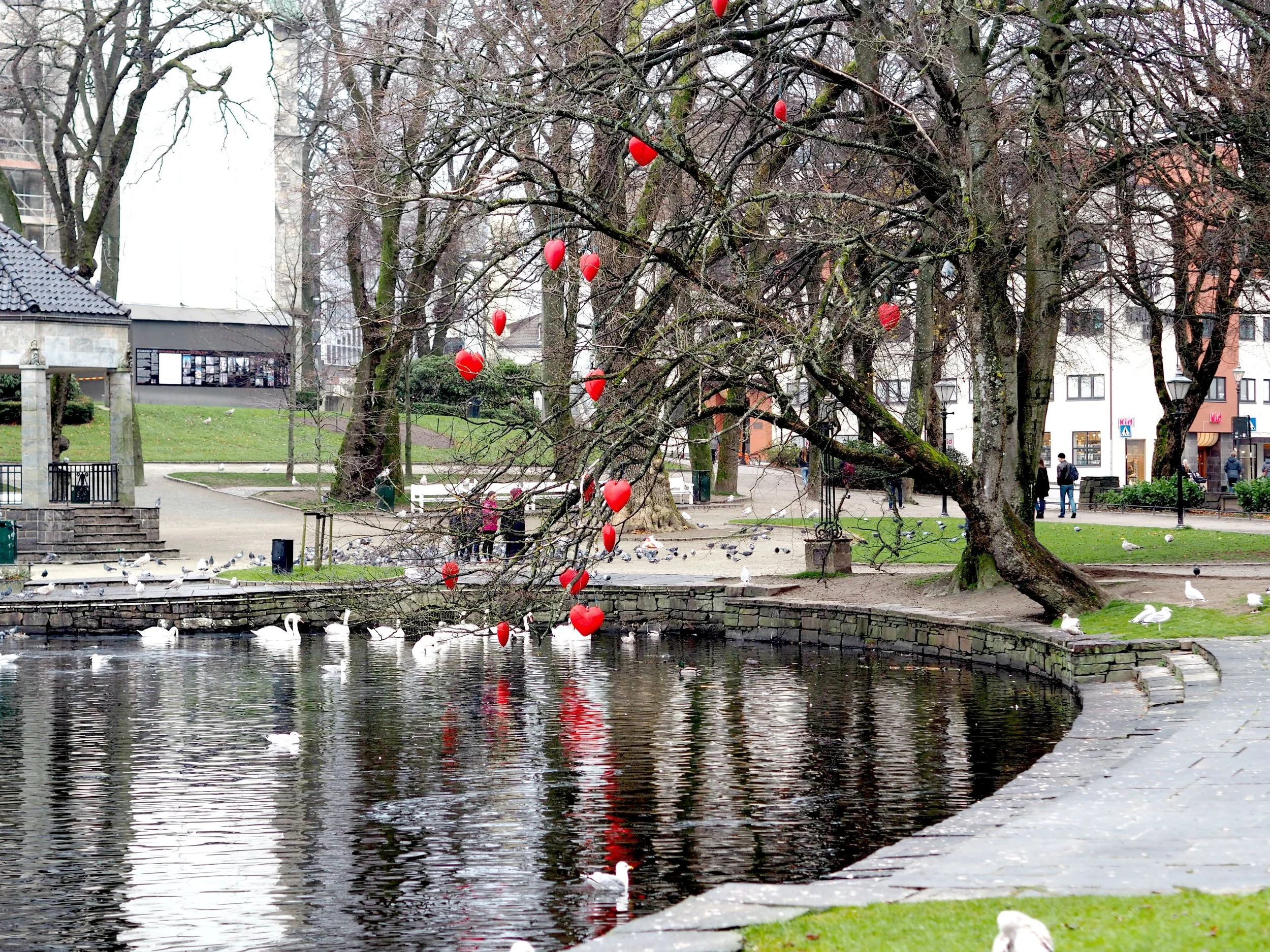 Stavanger by, hjertetre