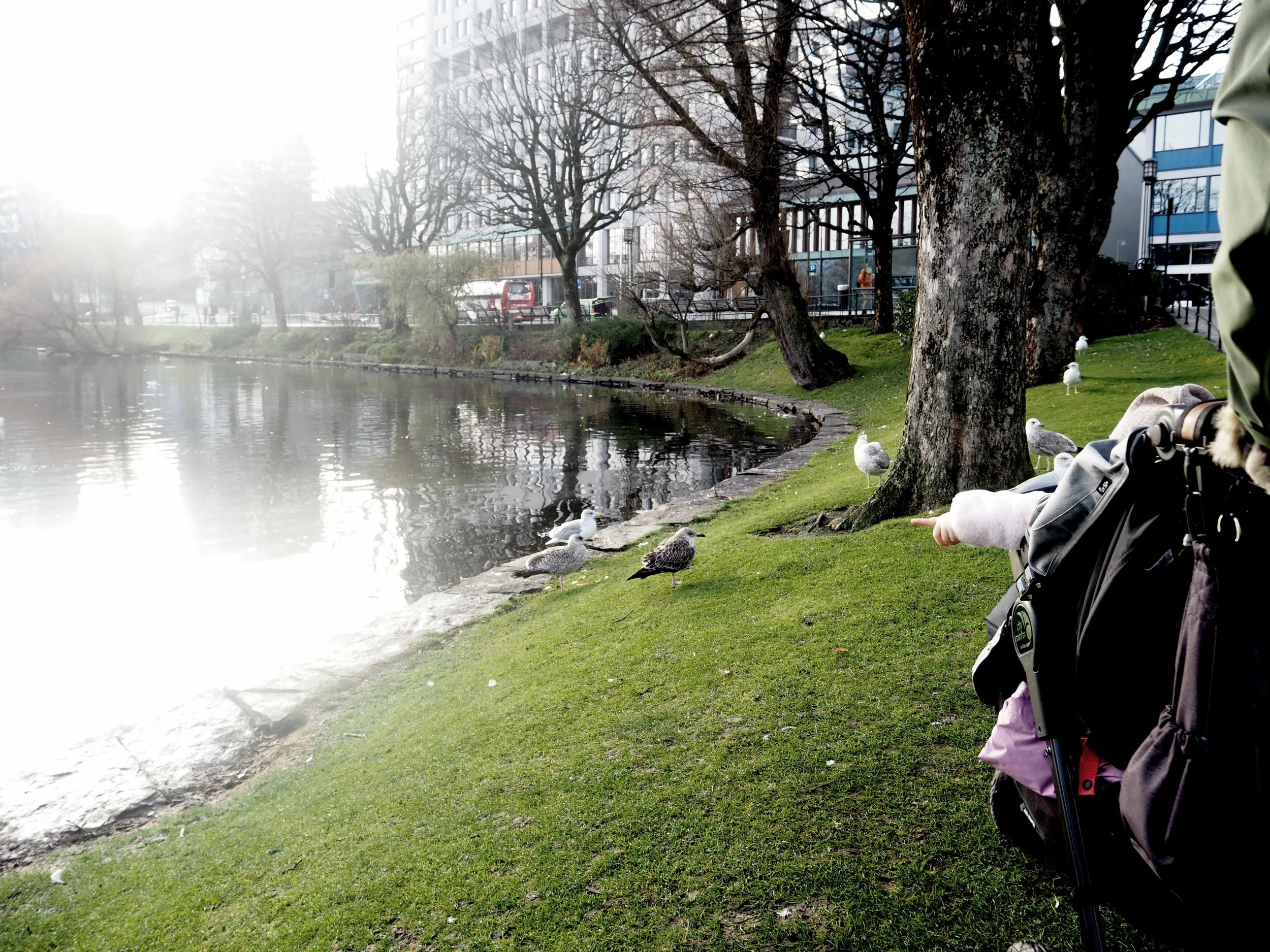 Stavanger by