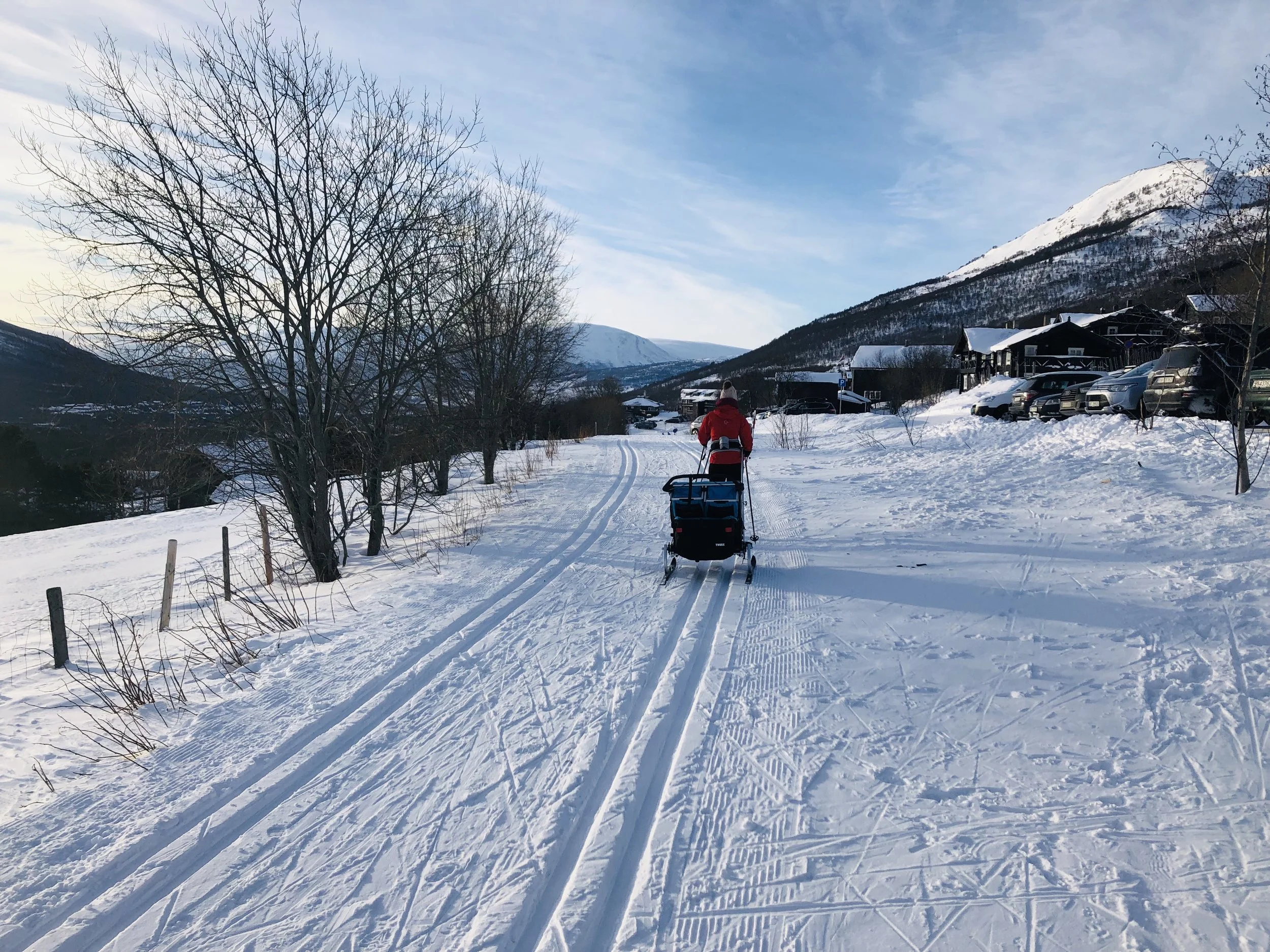 langrenn med thule sportsvogn 2, skikit