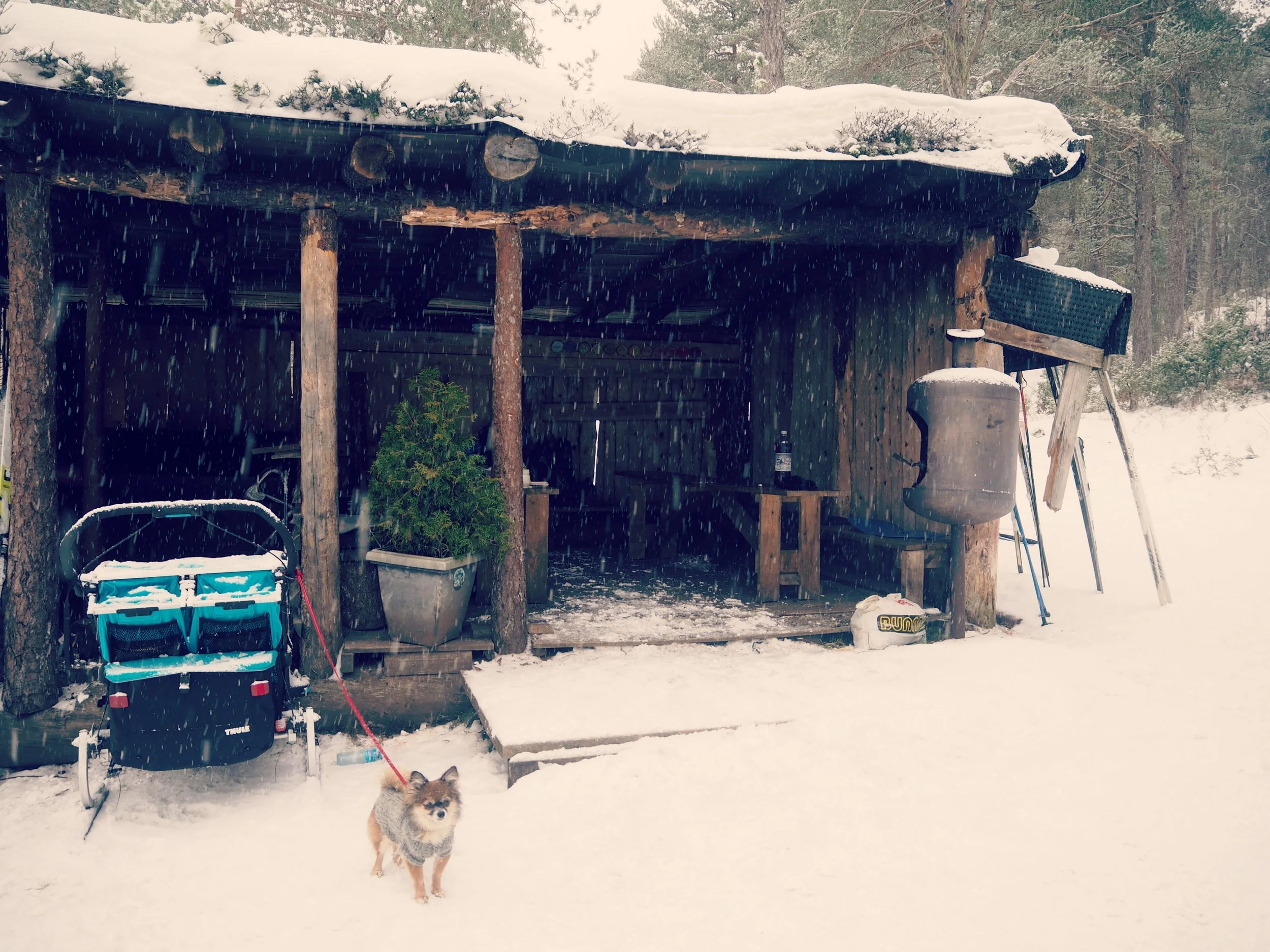 Prestmyra rasteplass med skur, grillmuligheter og huske