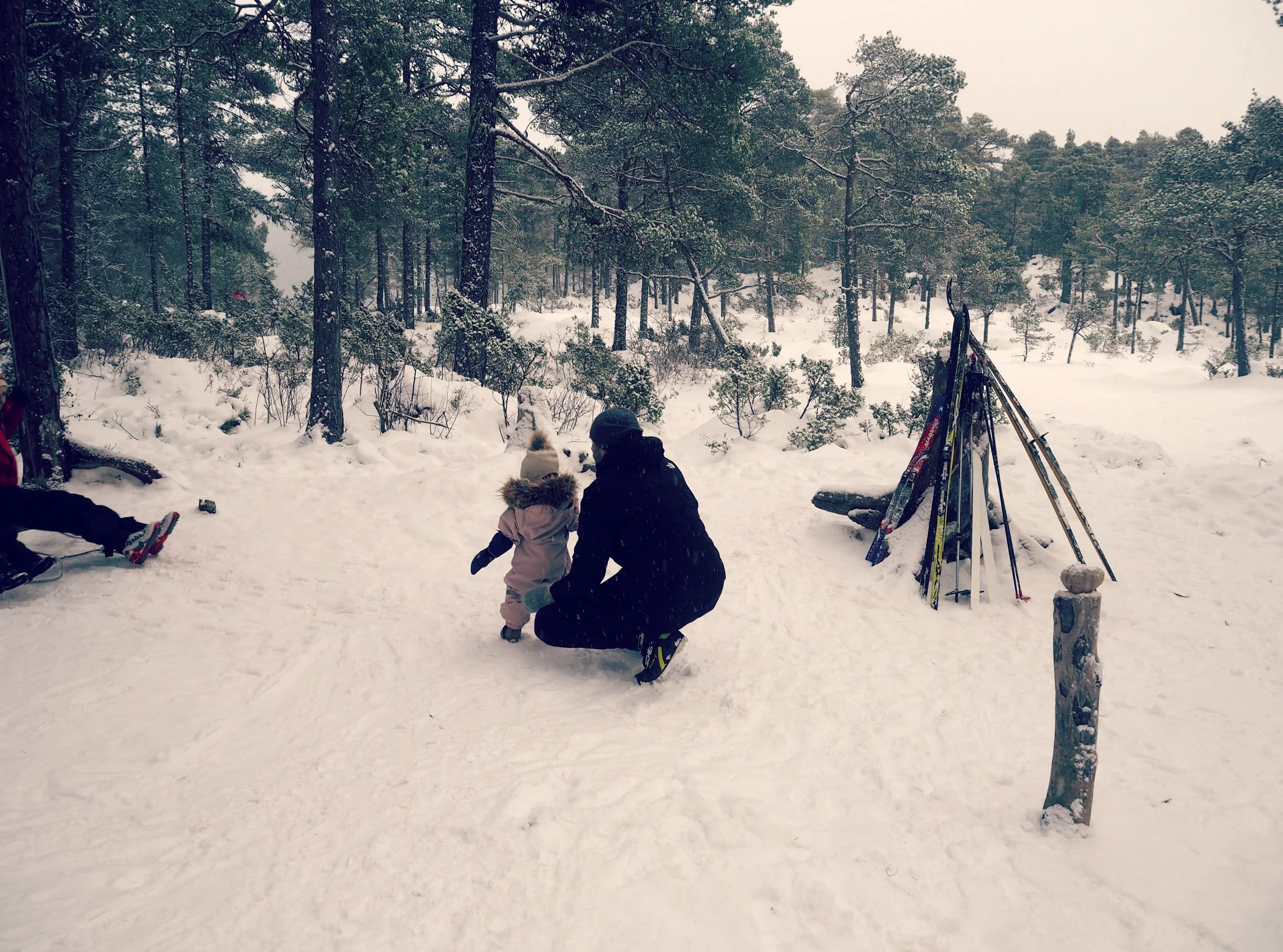 Prestmyra rasteplass med skur, grillmuligheter og huske