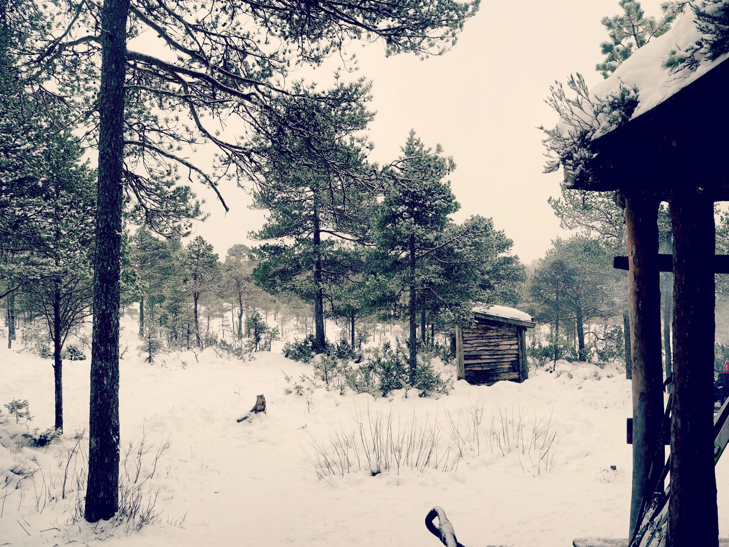 Prestmyra rasteplass med skur, grillmuligheter og huske