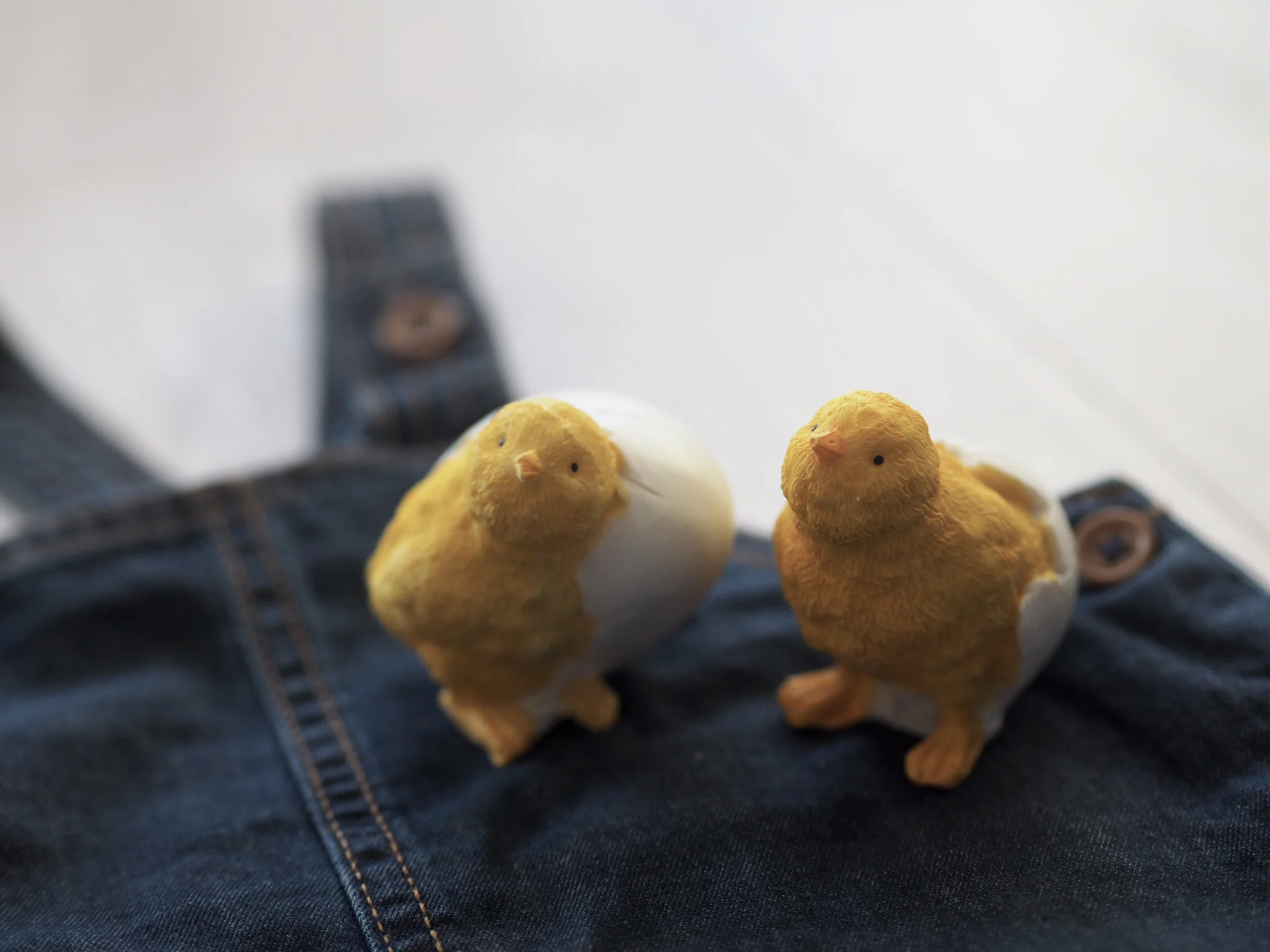 FullSizeRender.jpg